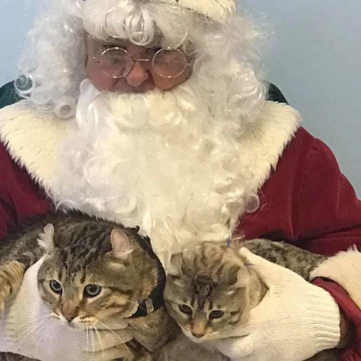 There is no Claus like Joe Claus!