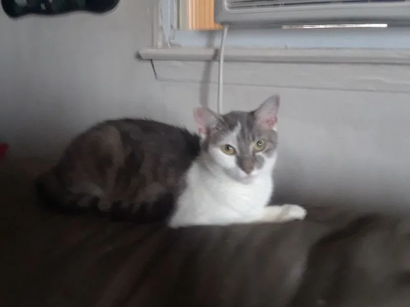 Katrina Adopted May 2019