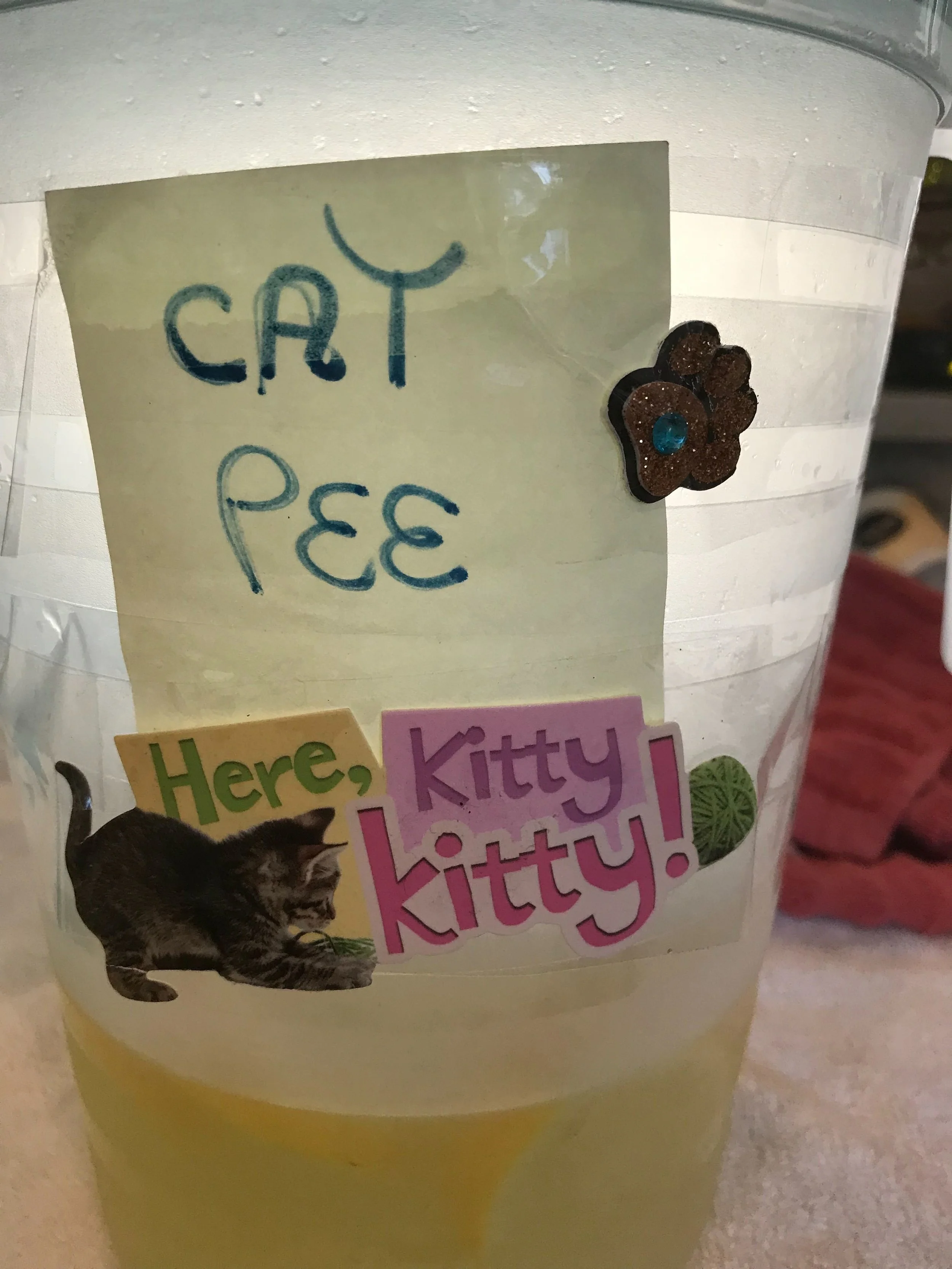 NCRA 2019 Summer Party