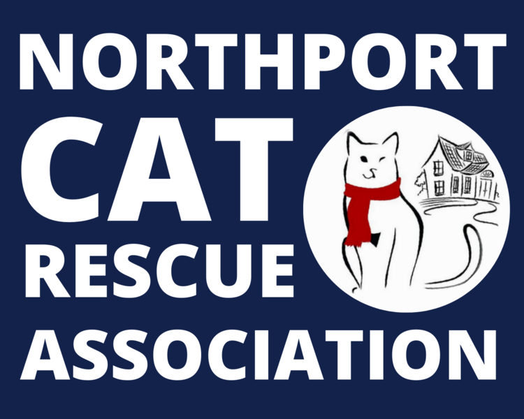 Northport Cat Rescue 