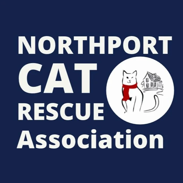 B1FDDC59-E891-4F6A-846F-5802B88F2329