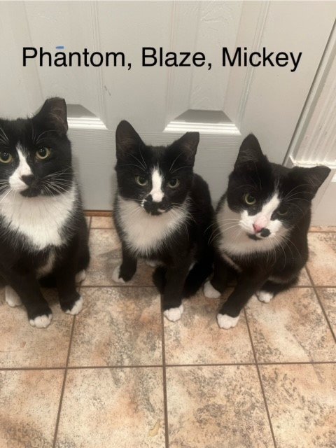 Phantom, Blaze &amp; Mickey