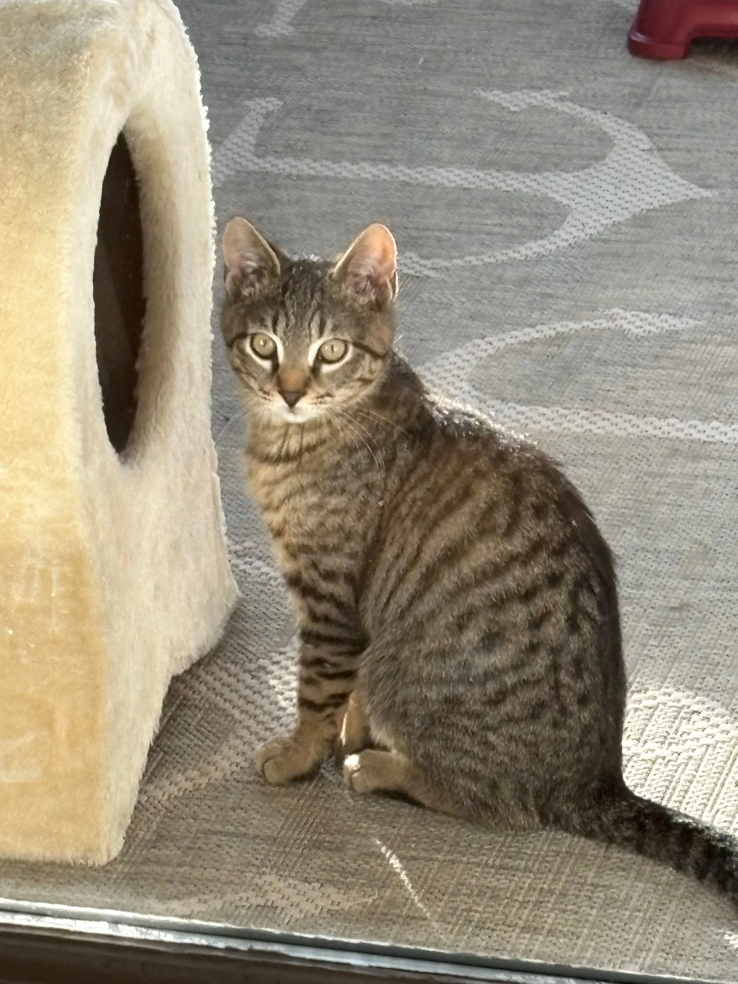 Axl Rose (bonded to Cindy Lauper)