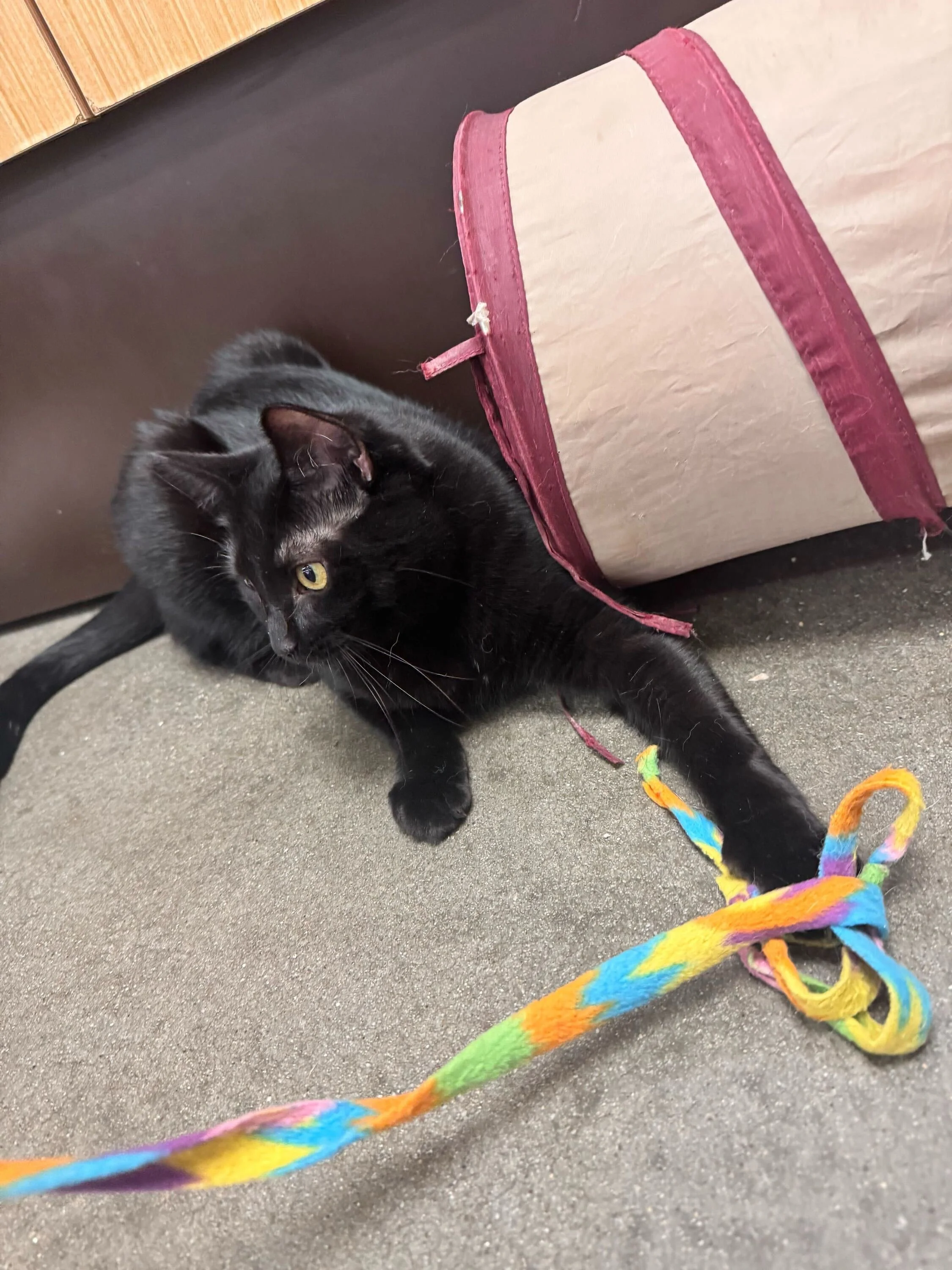 Image from iOS (7).jpg