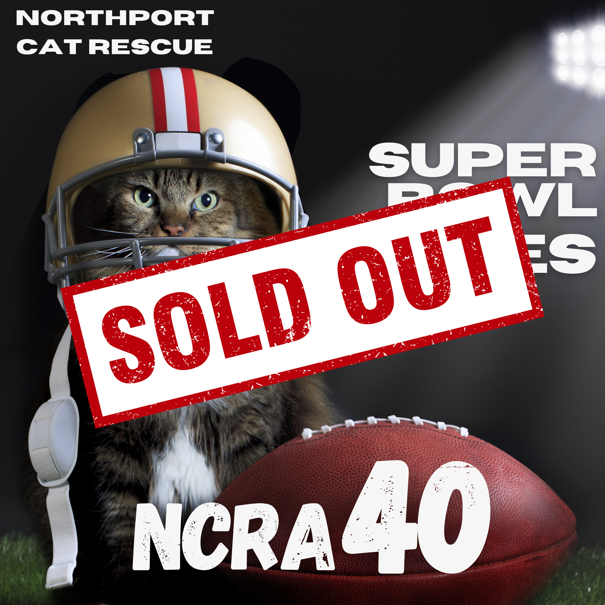 Super bowl 2026 product images.png