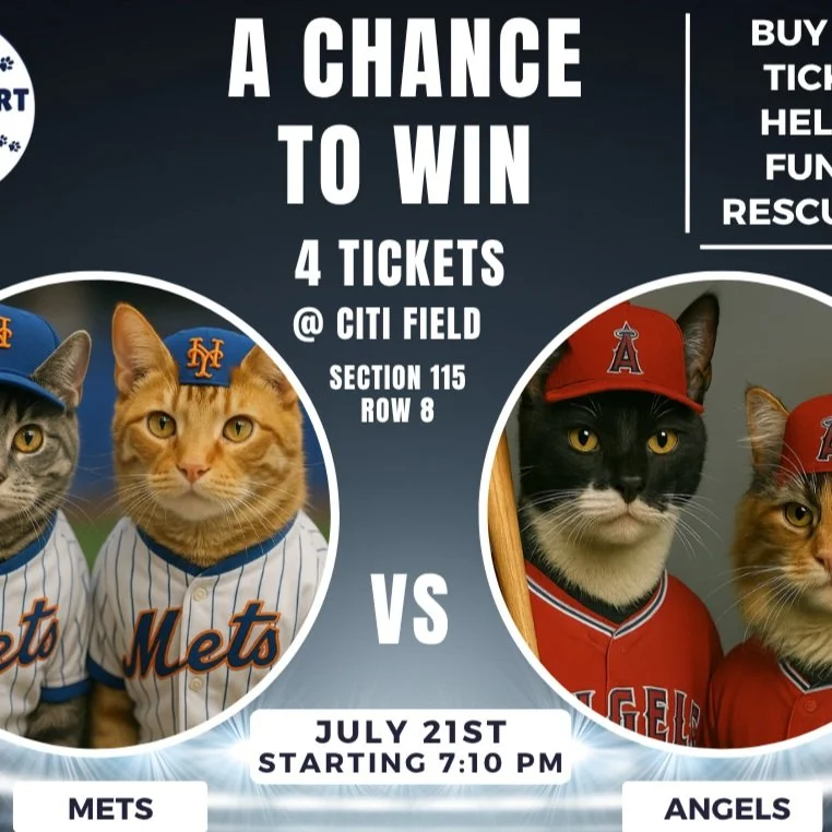 1 Raffle Ticket for Mets vs Angels