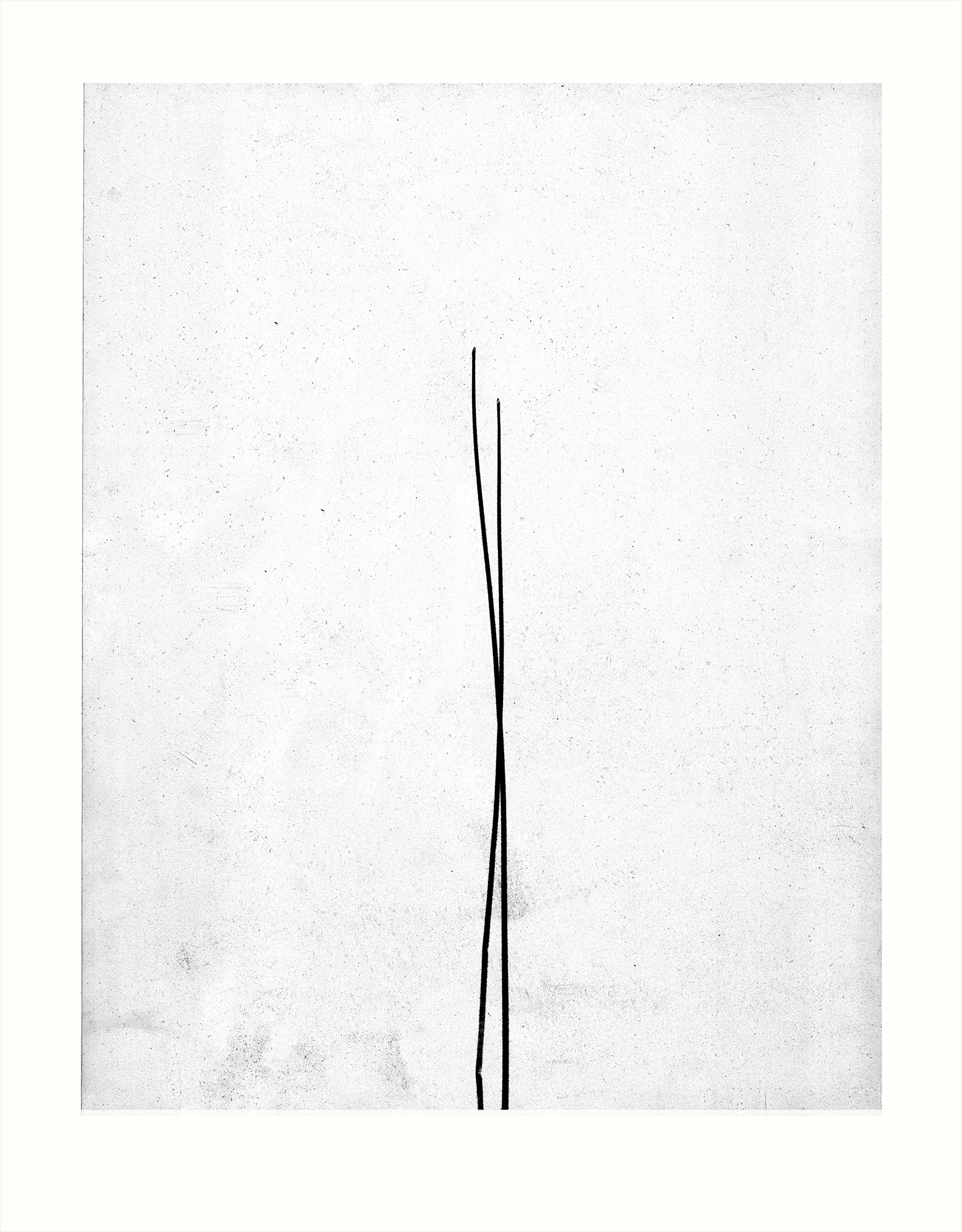 a pair of lines / 2 of 2