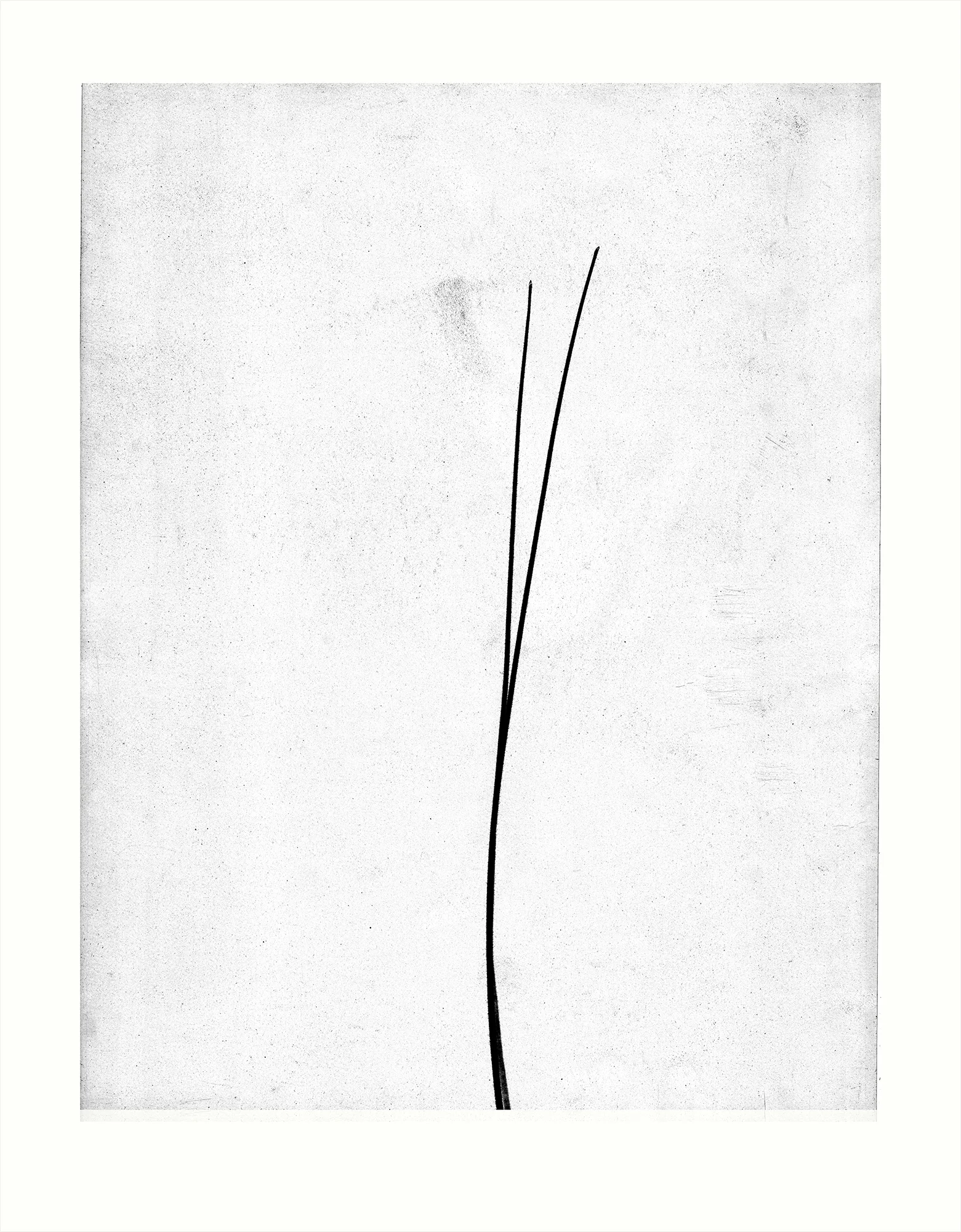 a pair of lines / 1 of 2