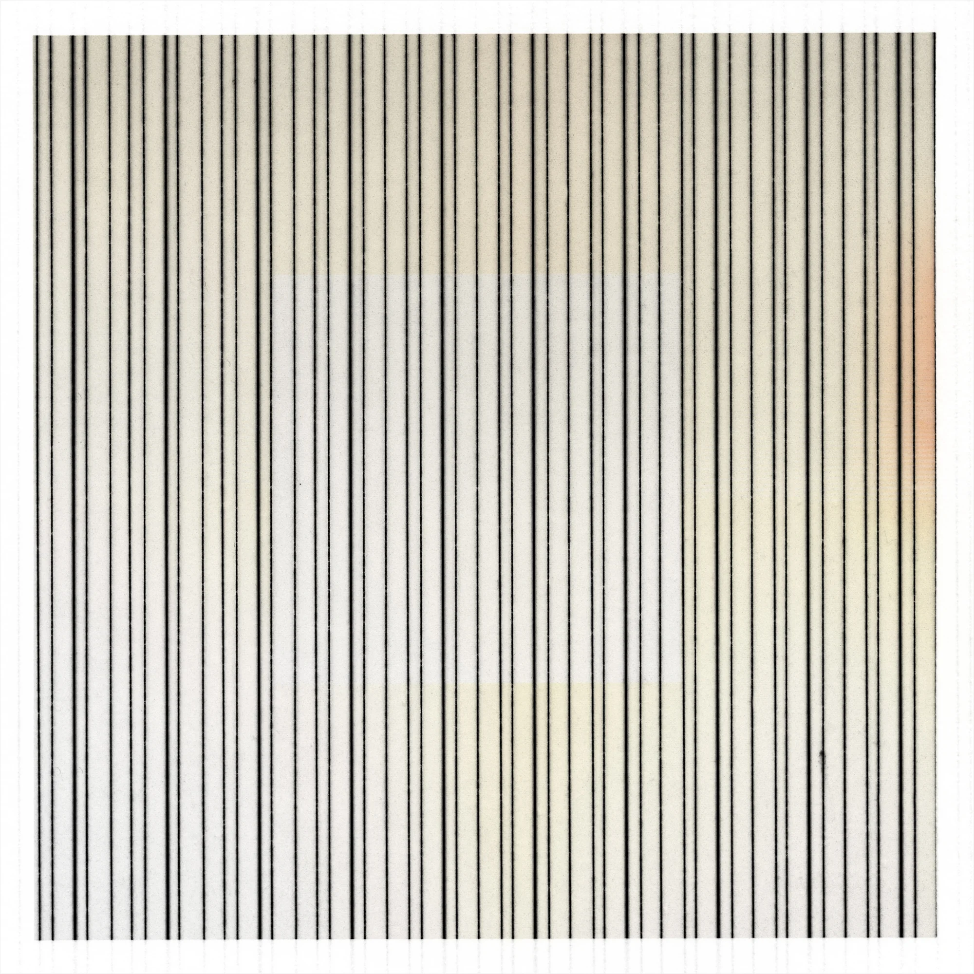 square 6.jpg