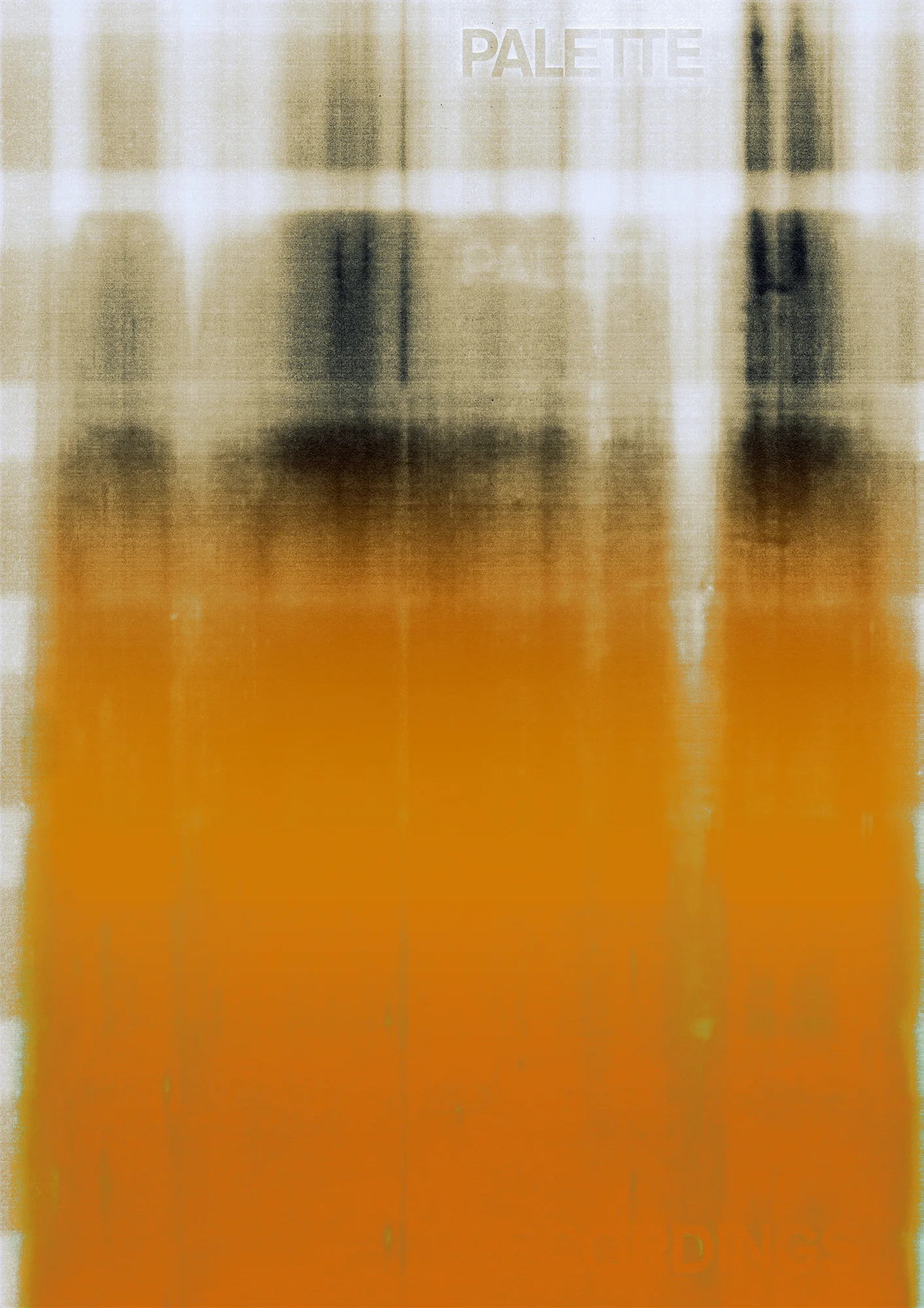 palette+yellow+2.jpg