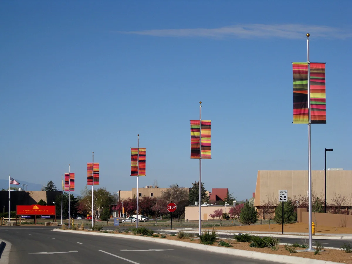 18_csf-banners5.jpg