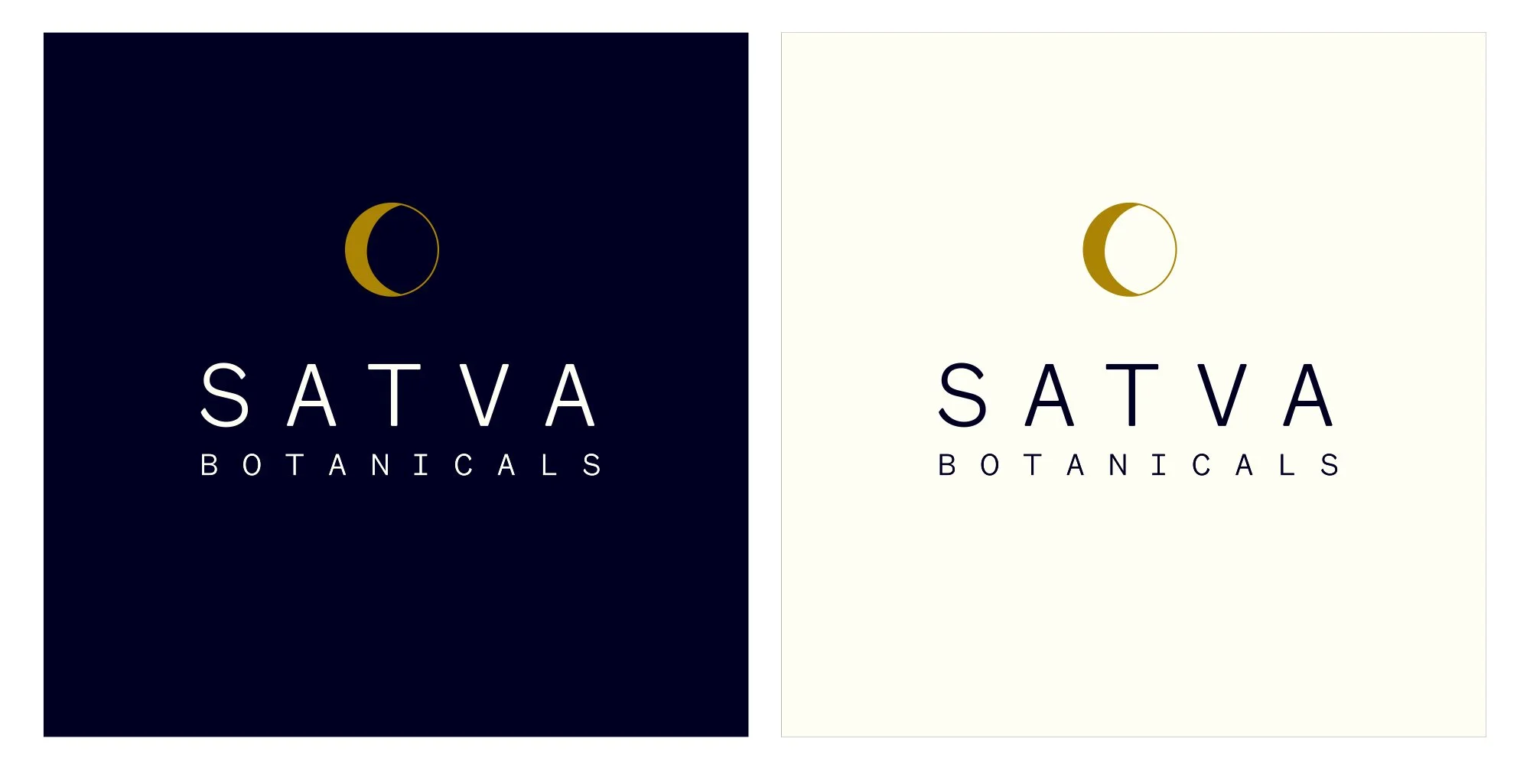 SATVA logo web.jpg