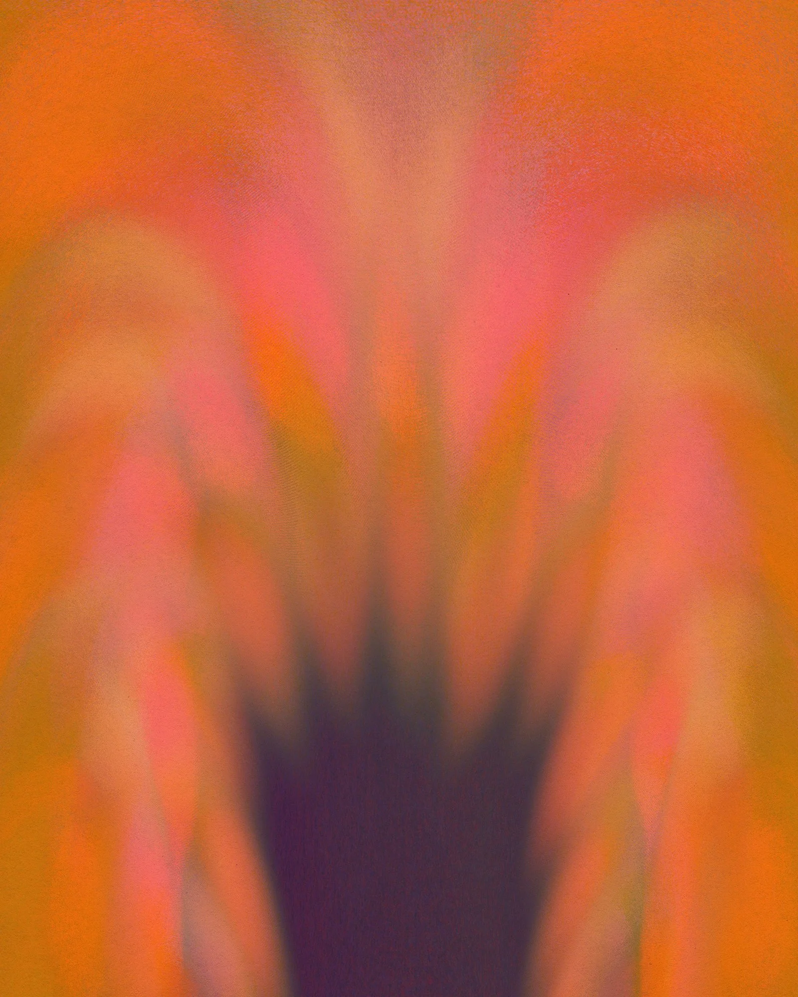 02 01 26 5b.jpg