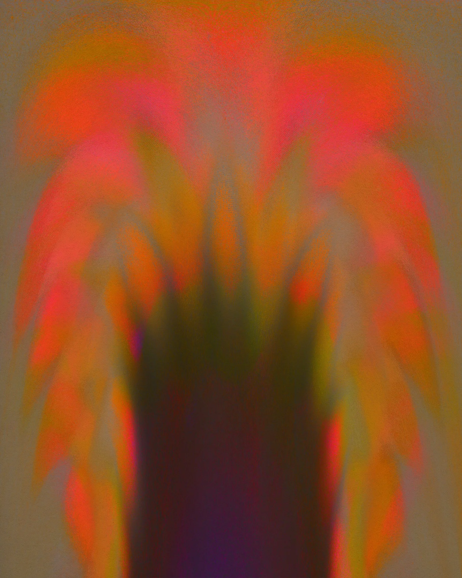 02 01 26 6d.jpg