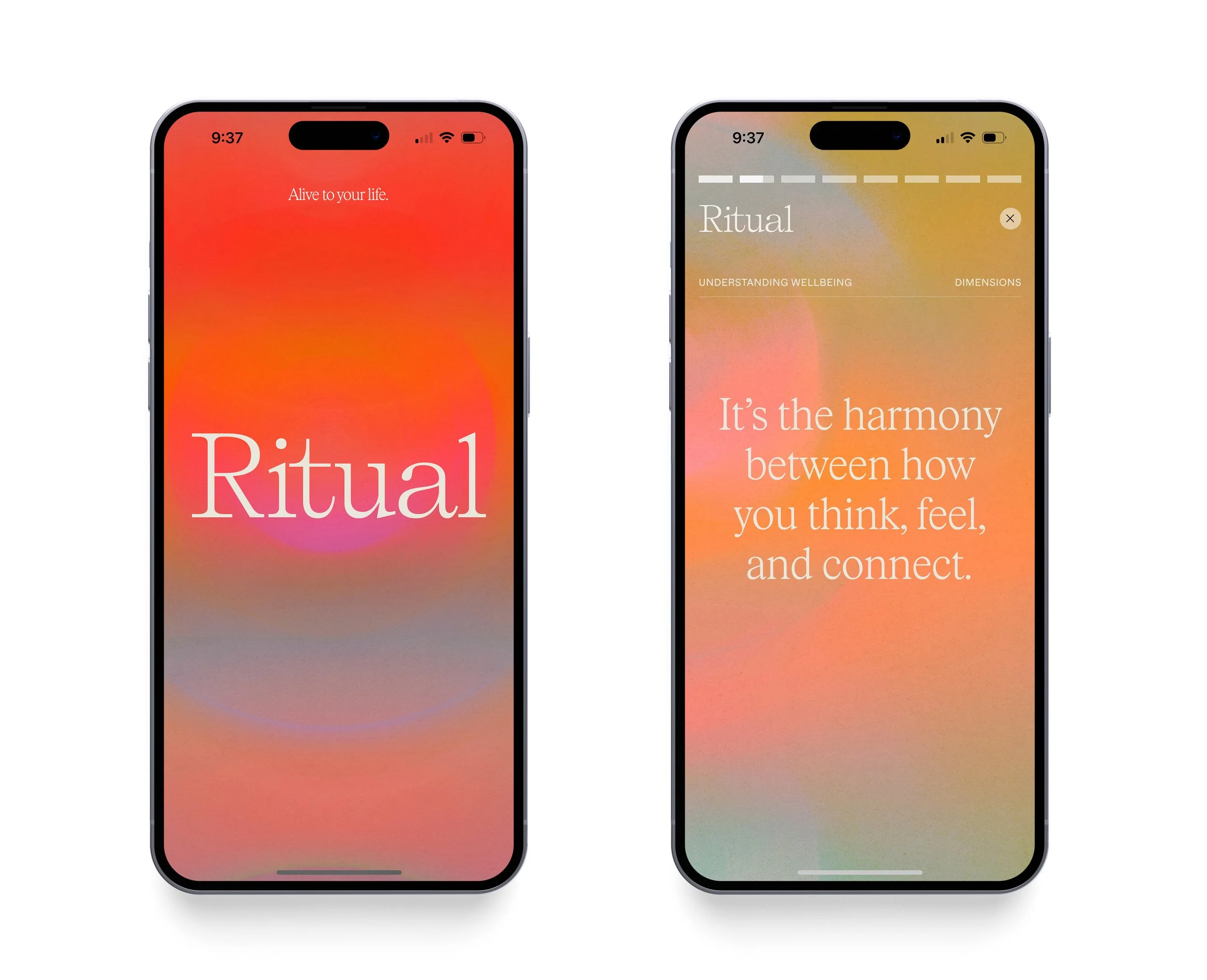 Ritual Screenshots compiled 1.jpg