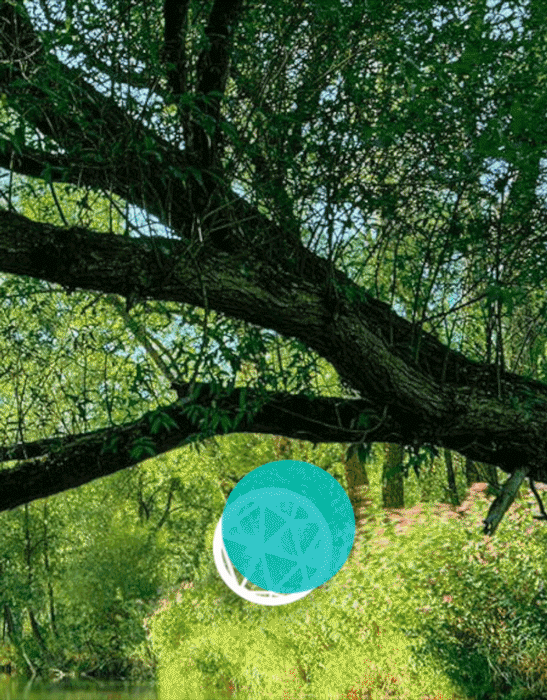 Tools used: After Effects, XD