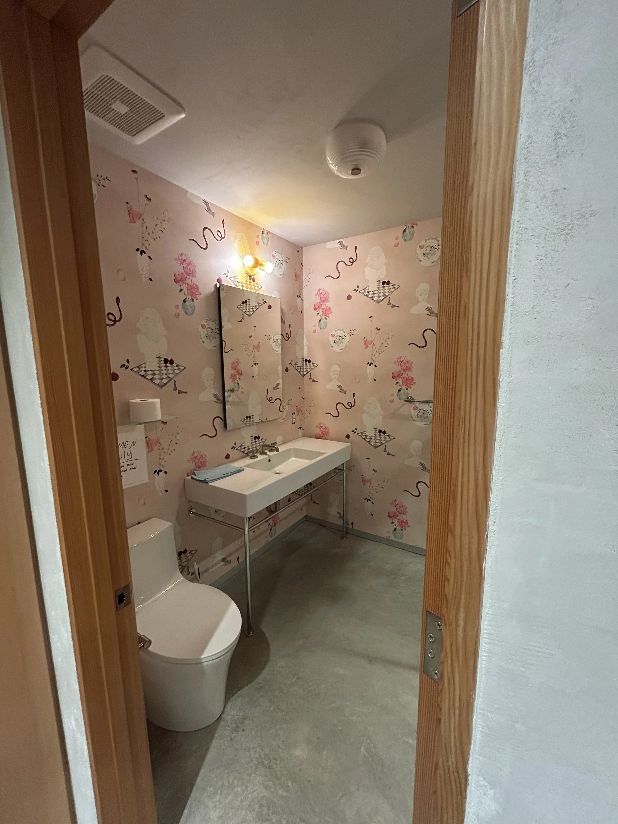 toilet and sink.jpeg
