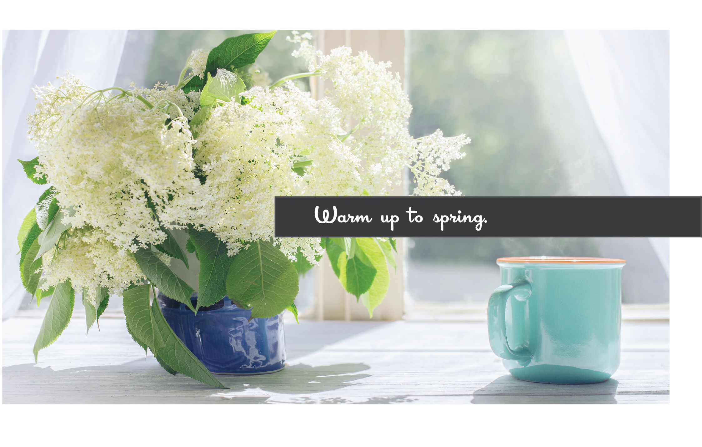 Springimageweb4.png