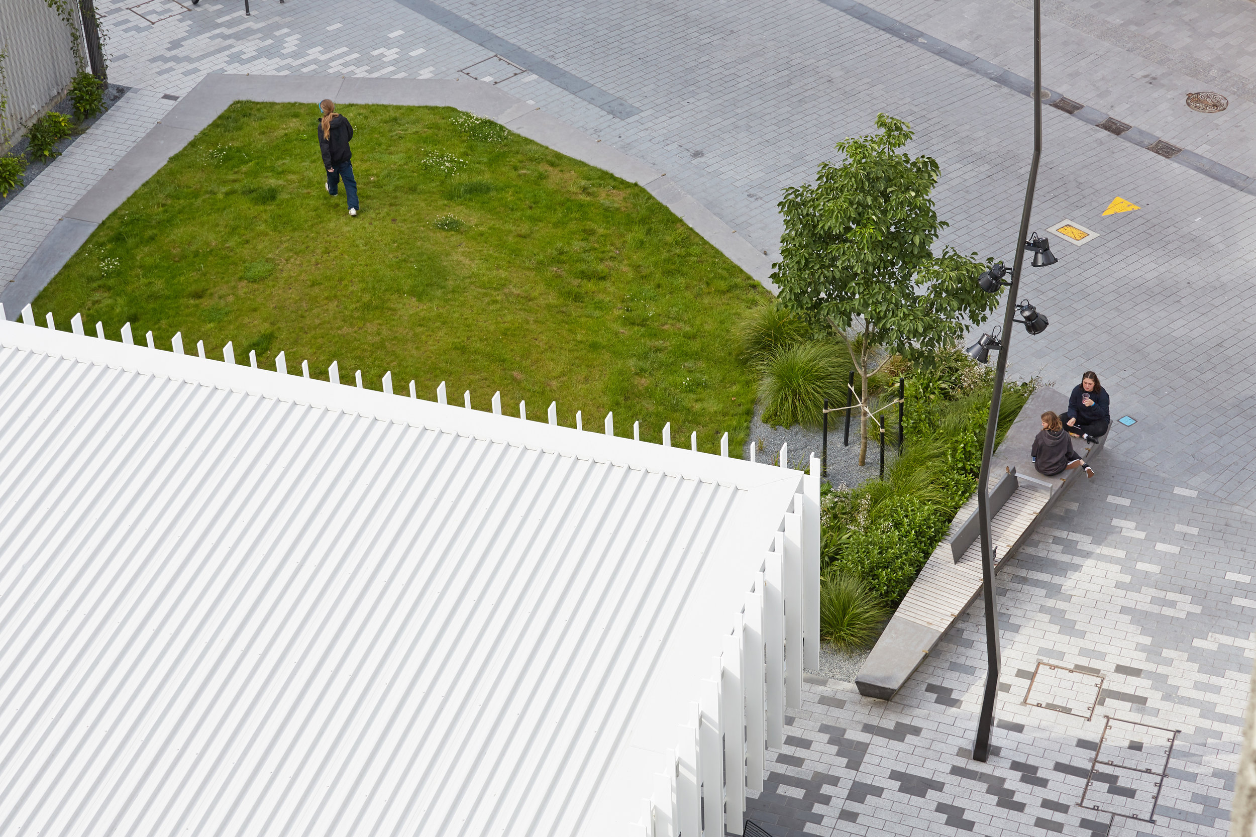 20181209-Lombard-Lane-Land-Lab-(unedited)-122---EDIT-FOR-WEB.jpg
