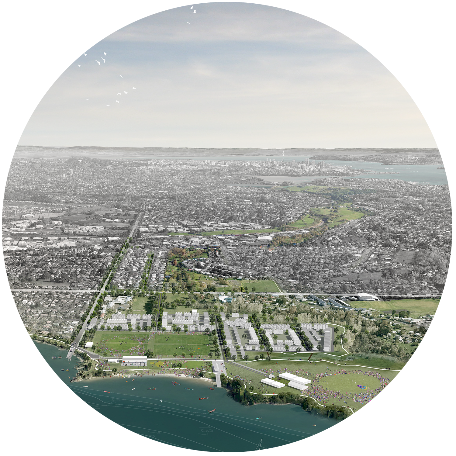 Te Whanake - Circle Banner Image.png