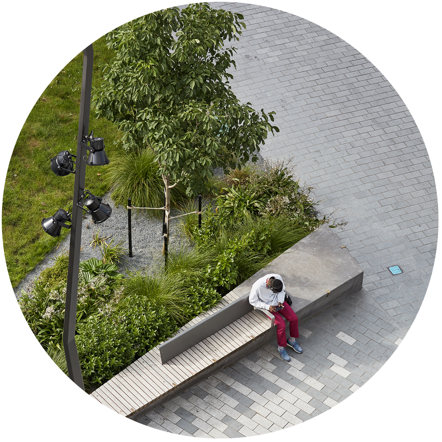 Lombard Lane - Circle Banner Image.png