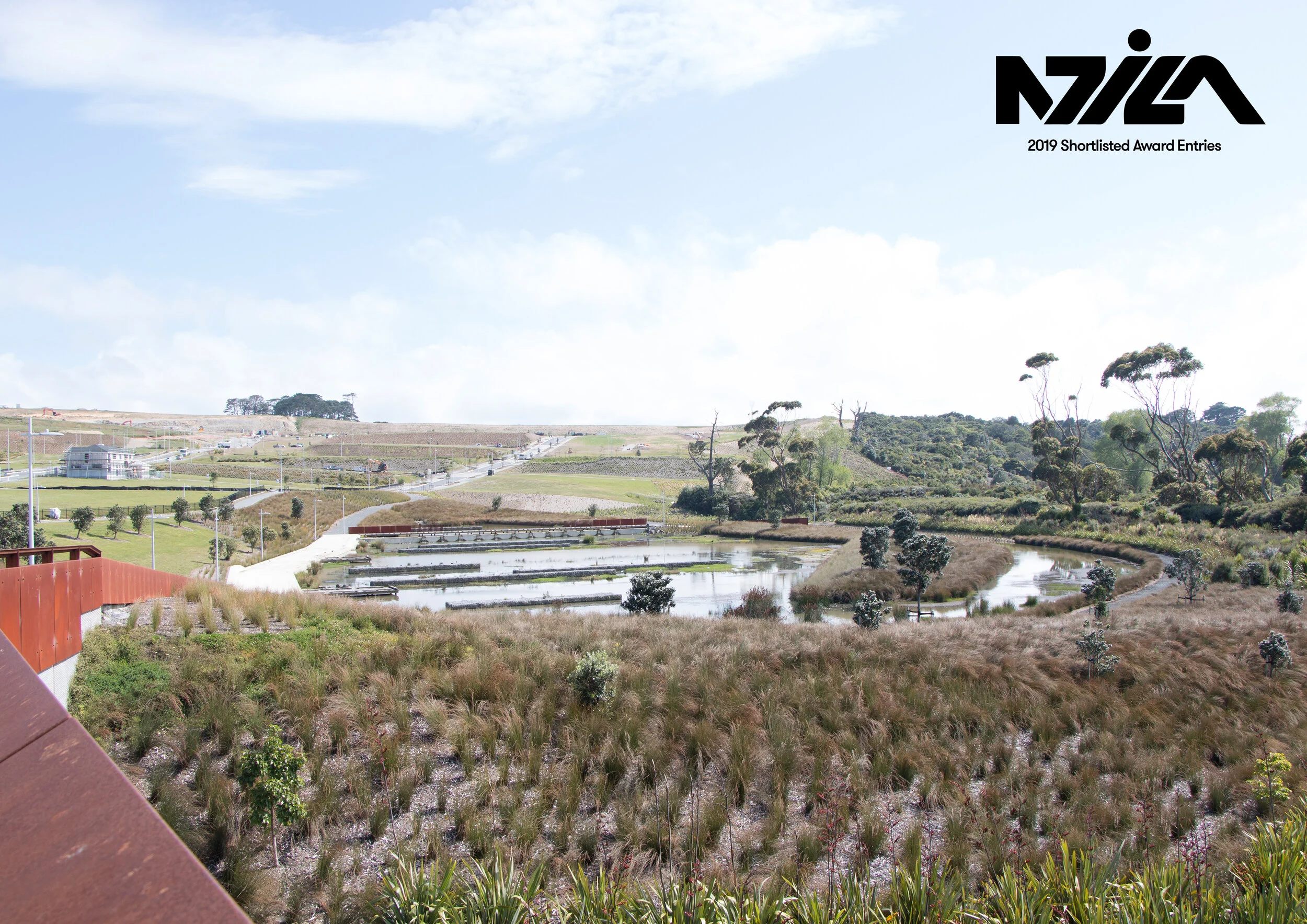 NZILA for Web - LB.jpg
