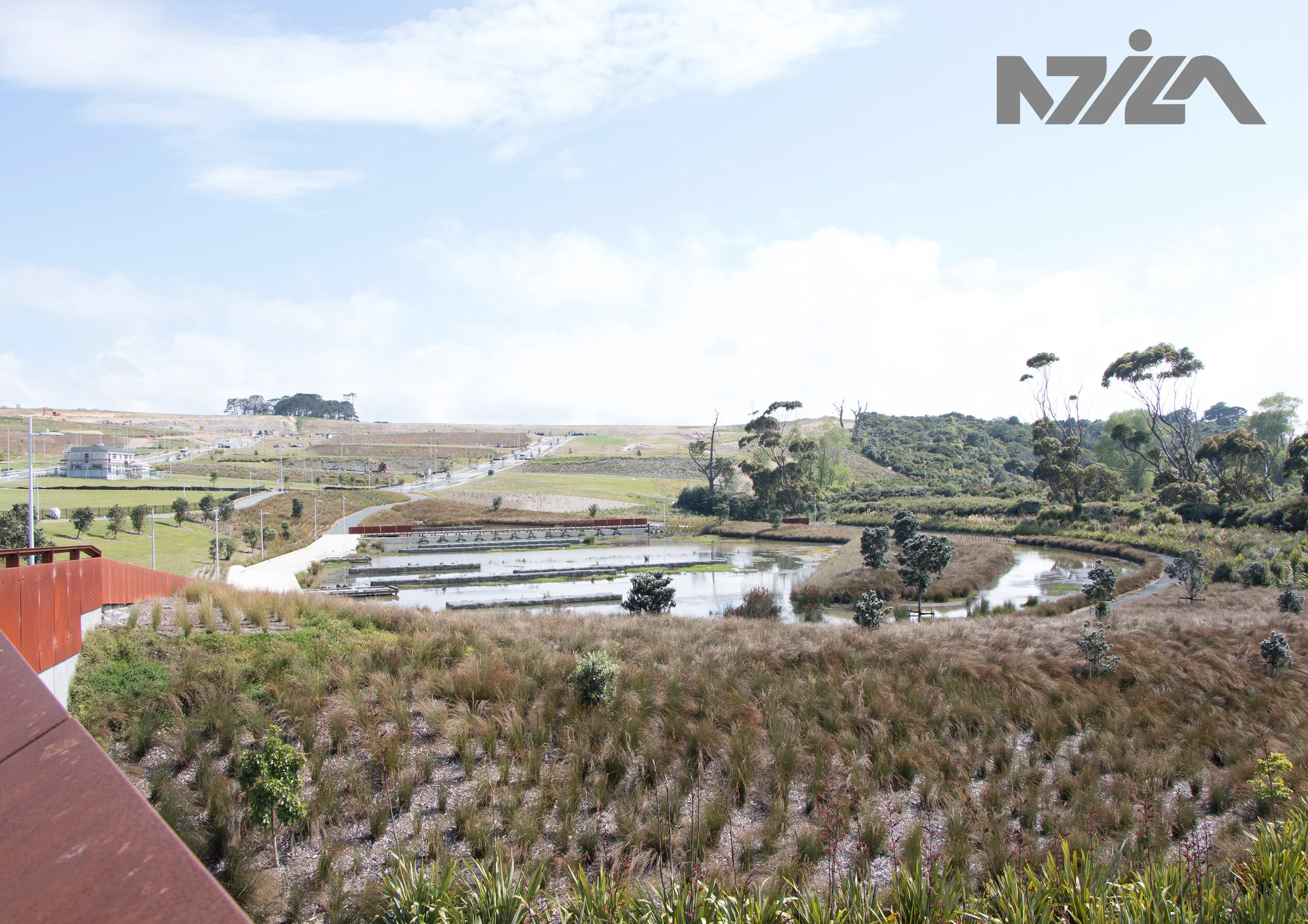 NZILA for Web - LB.jpg