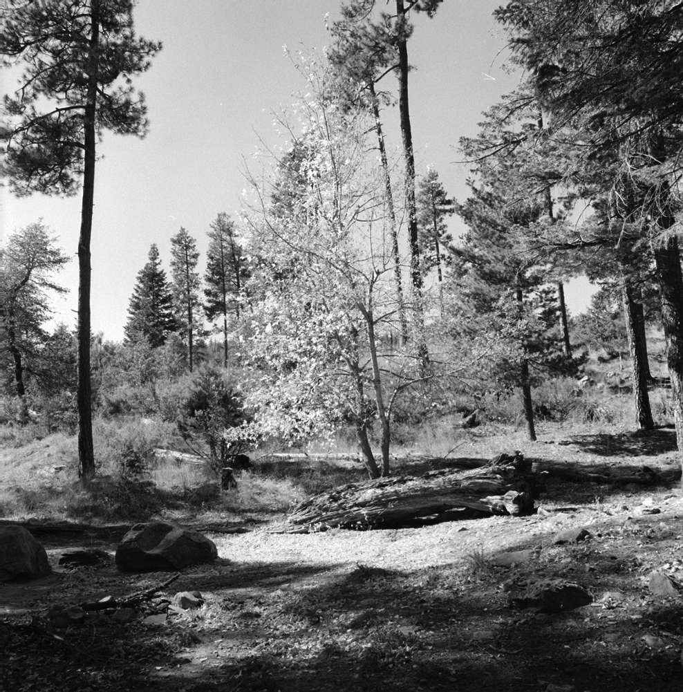   Payson, Arizona,  2014.  Gelatin silver print. 