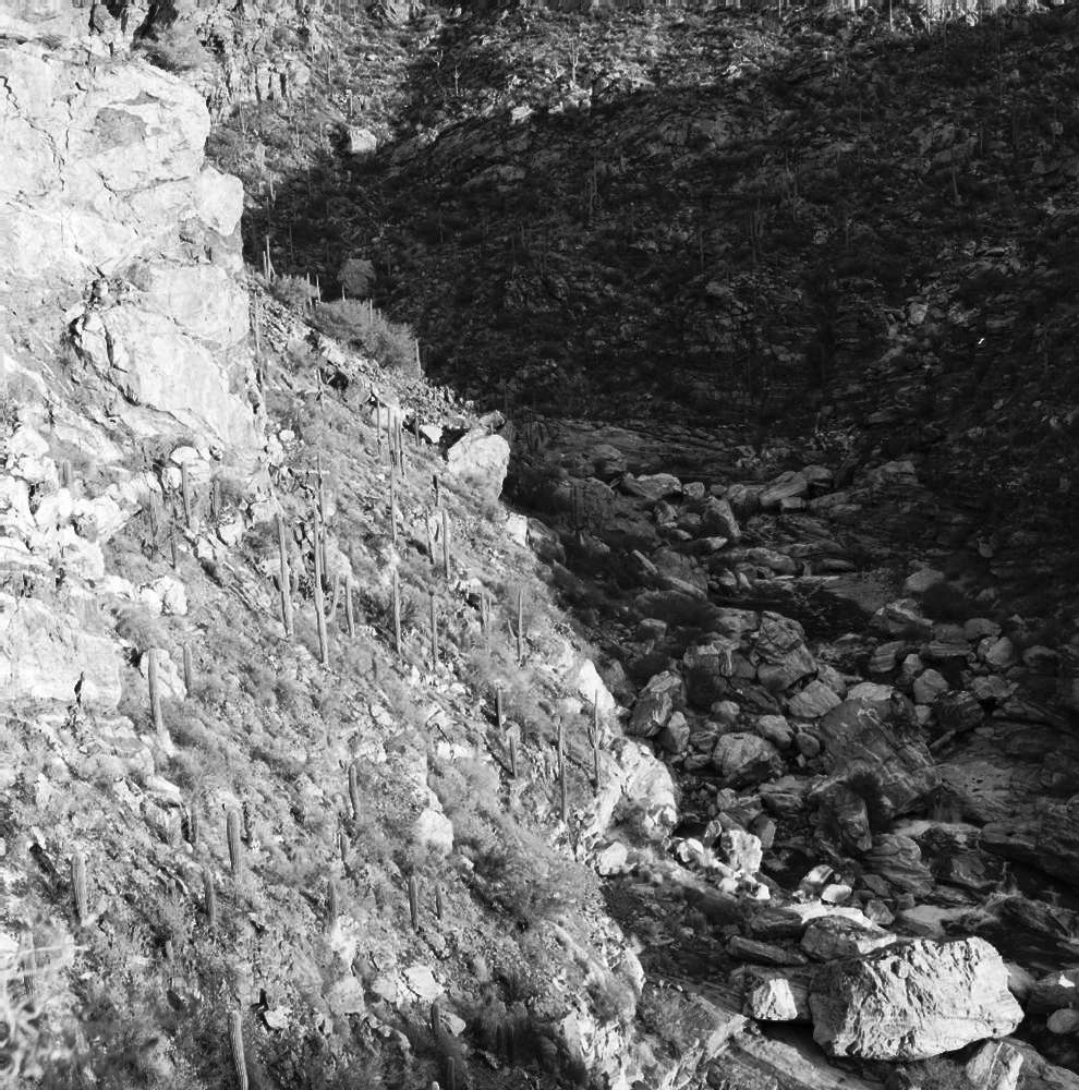   Tanque Verde Falls, Arizona,  2014.  Gelatin silver print. 