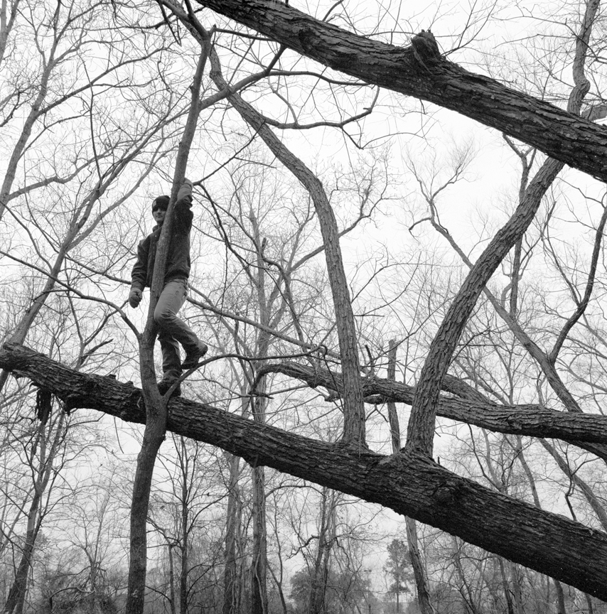   Cypress woods , 2011.  Gelatin silver print. 