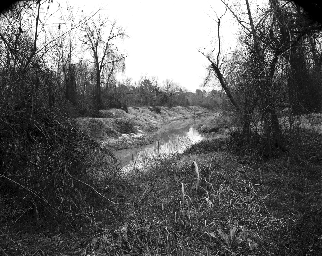   Cypress Creek landscape,  2010.  Gelatin silver print. 