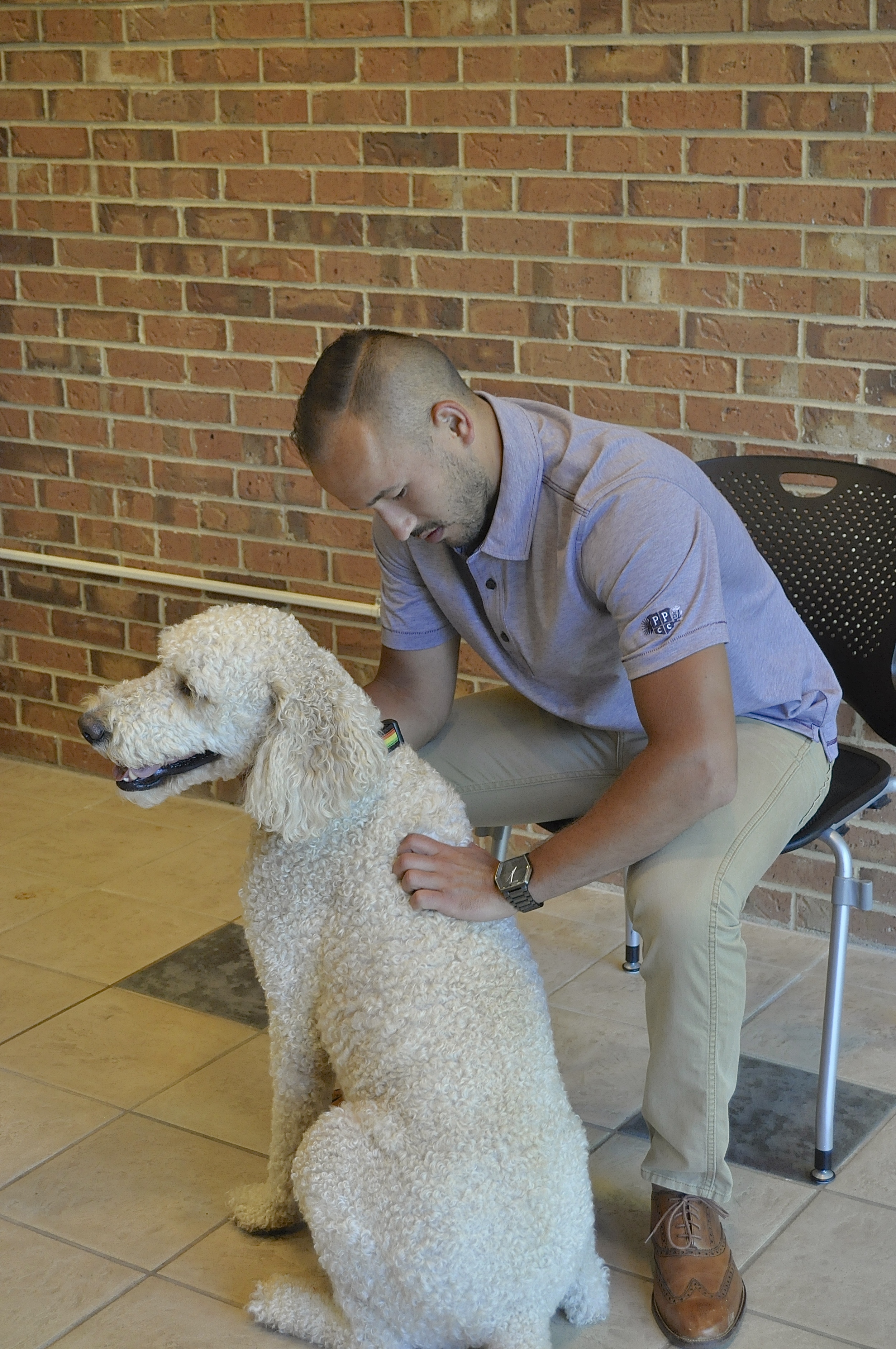 Dr. Jason Yakimishyn assessing his dog, Koda.