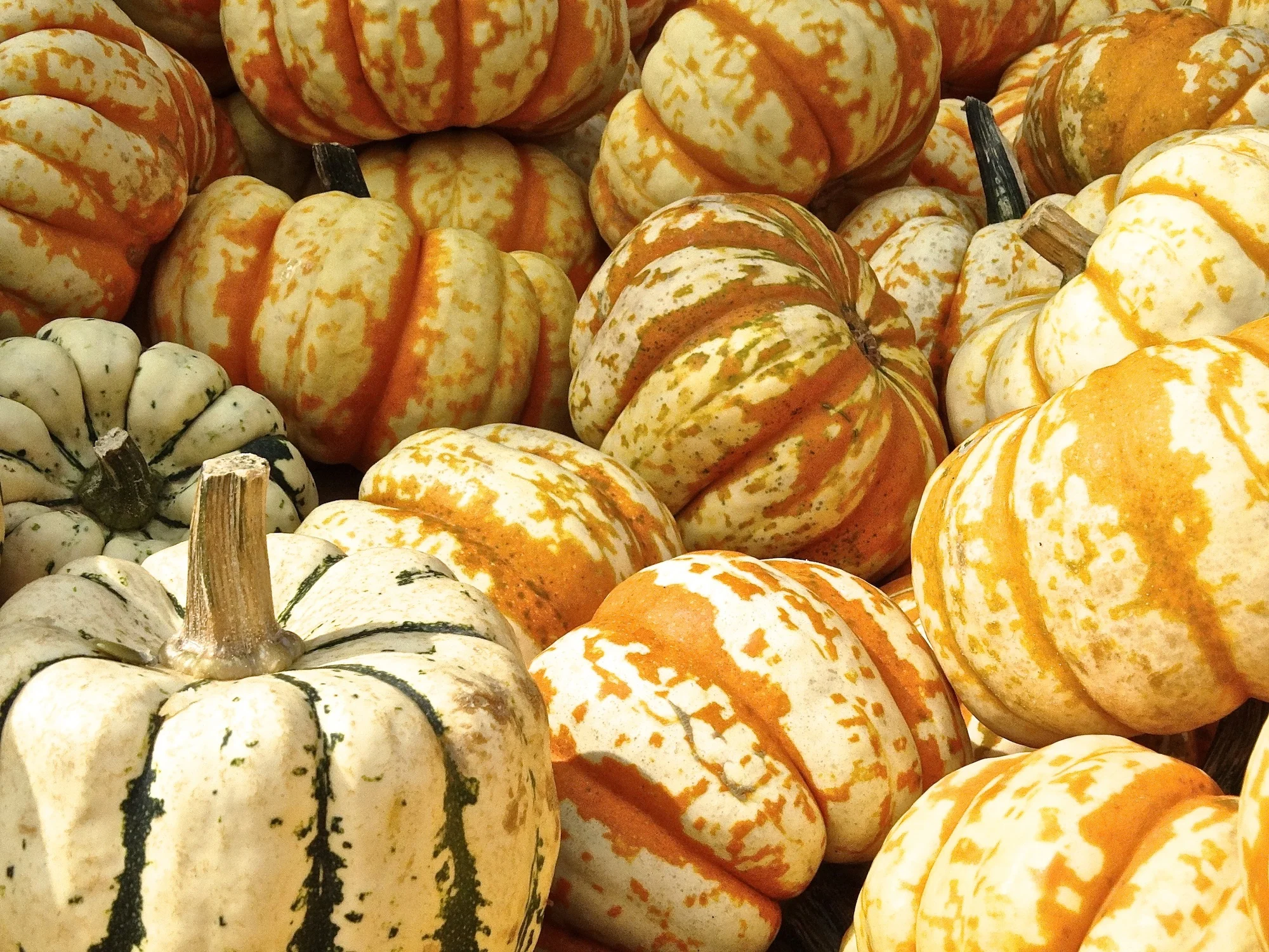 Eat Healthier with this Secret Ingredient