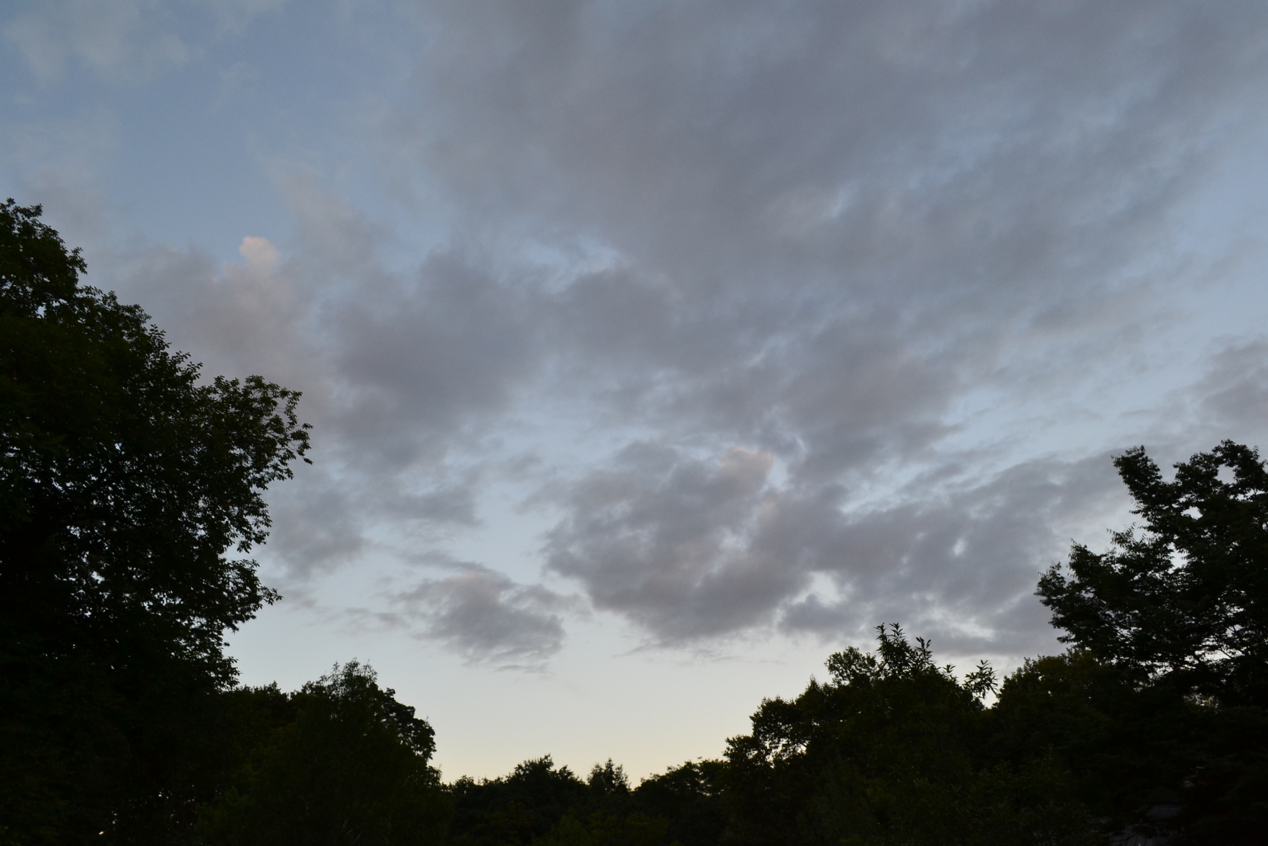 DSC_0151.JPG