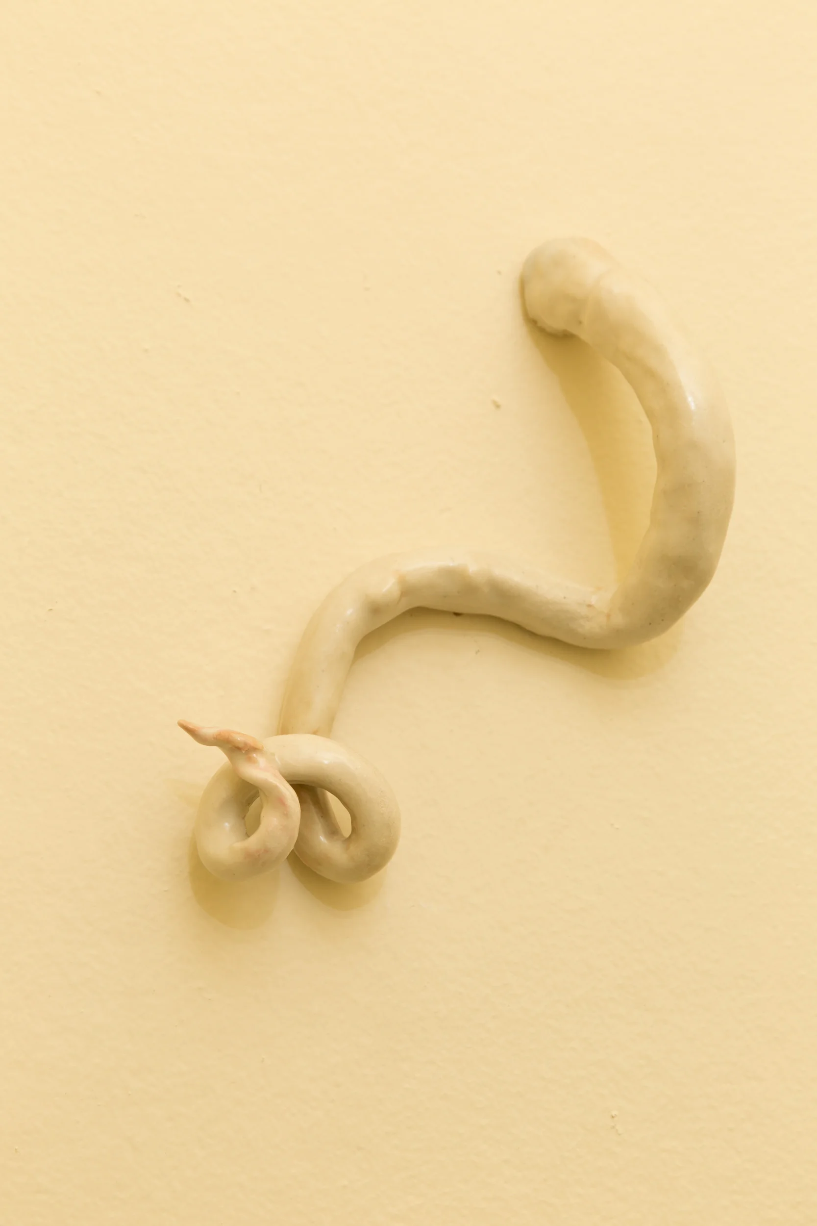 IBG_0530.jpg