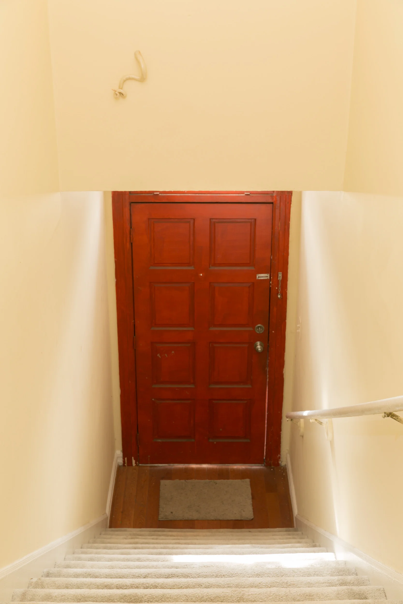 IBG_0535.jpg