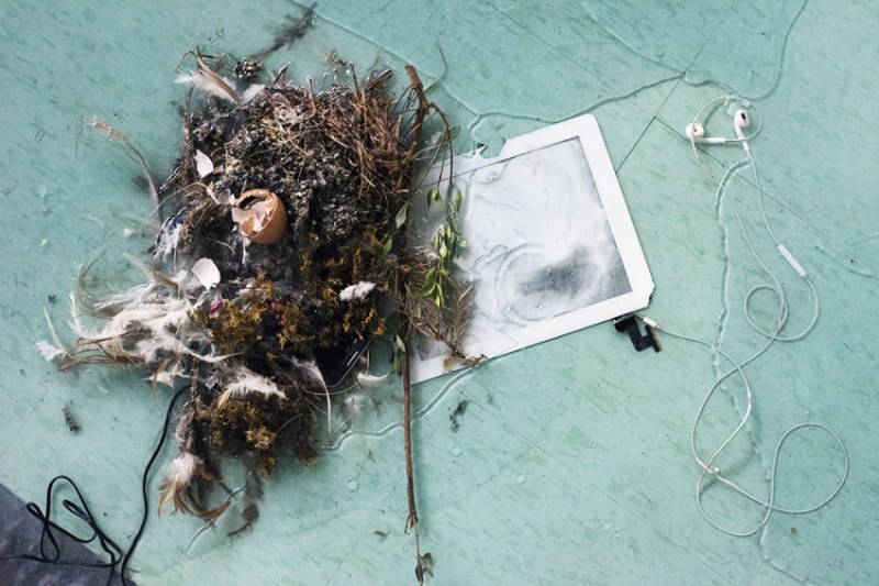 Laure Prouvost, A Way to Leak, Lick, Leek (2016). Installation (detail). Image courtesy of the artist and Fahrenheit. Photo: Deborah Farnault.