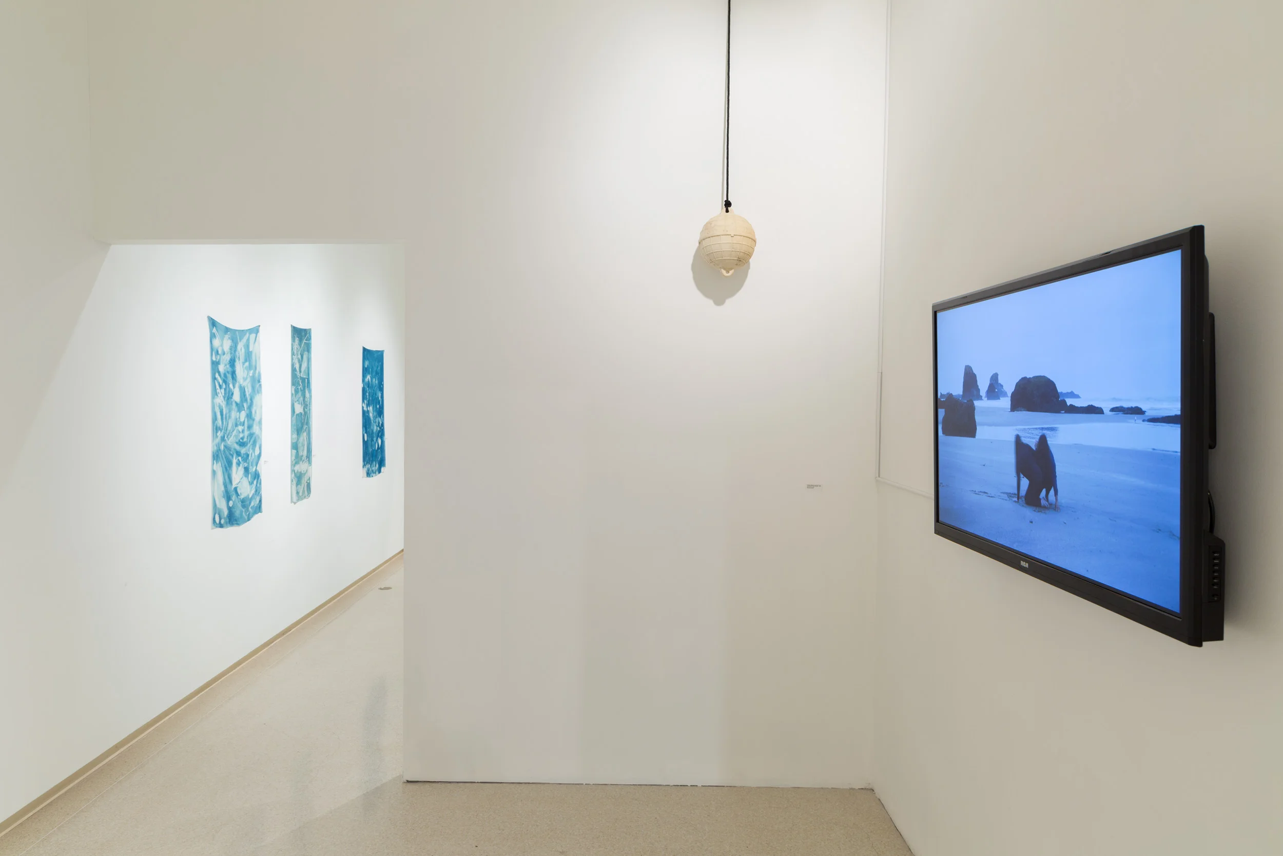 IBG_8749.jpg