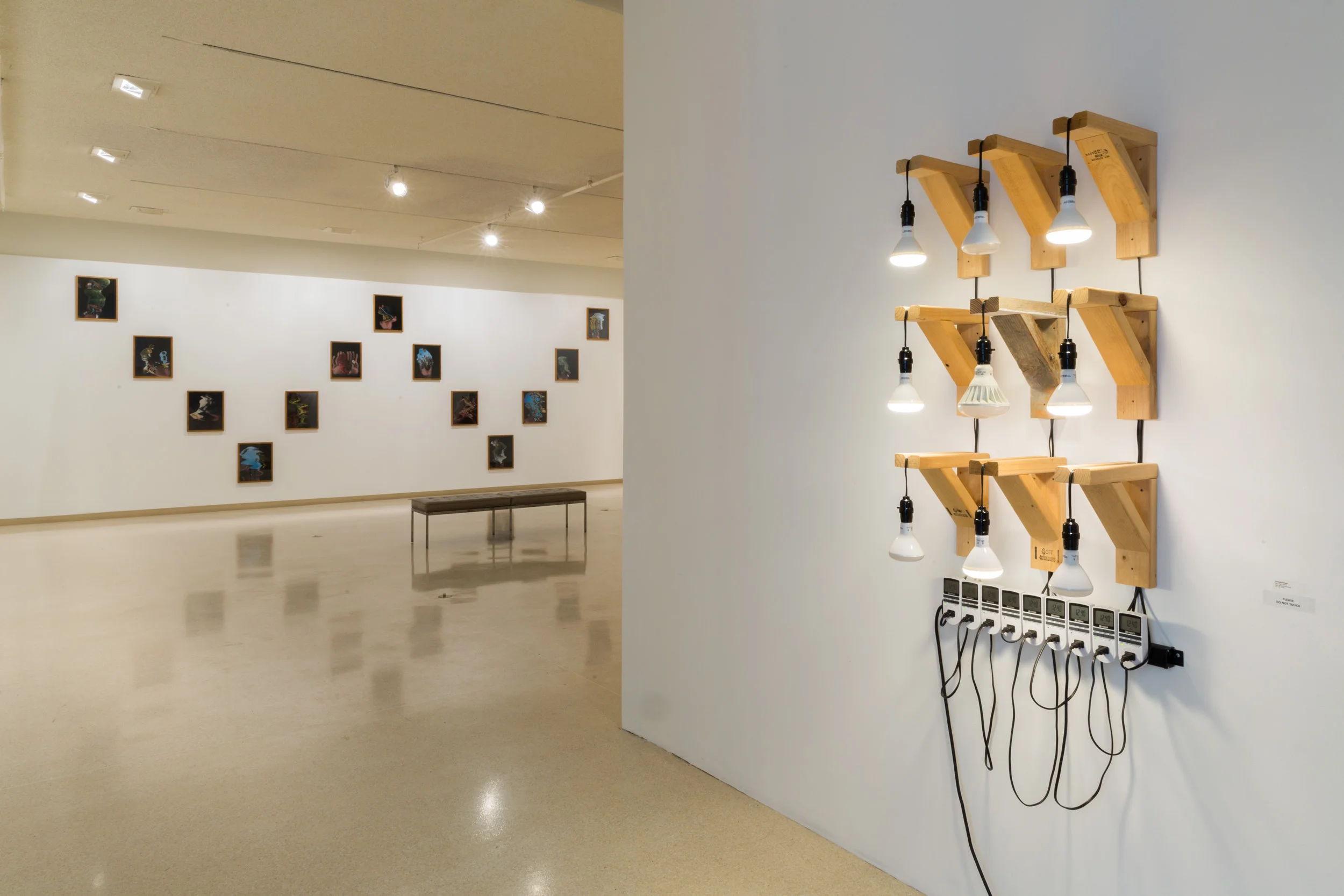   Garden Variety   Kristin Cammermeyer, Cameron Crone, Jenalee Harmon, Karen Kimmel, Bessie Kunath, Megan Mueller, Lydia Maria Pfeffer, Sam Scharf, Theresa Sterner, Arden Surdam, Sarah Ann Weber, Zach Trow and John Zane Zappas.   January 27 - March 1