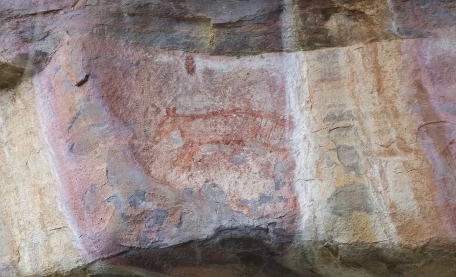 rock painting kakadu