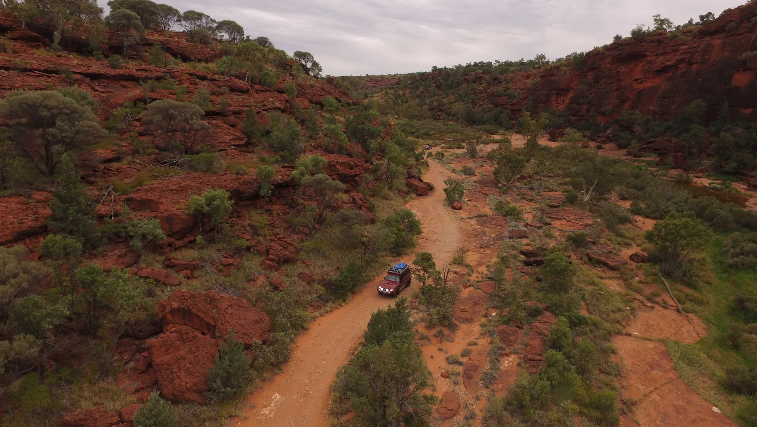 Driving along Palm Valley