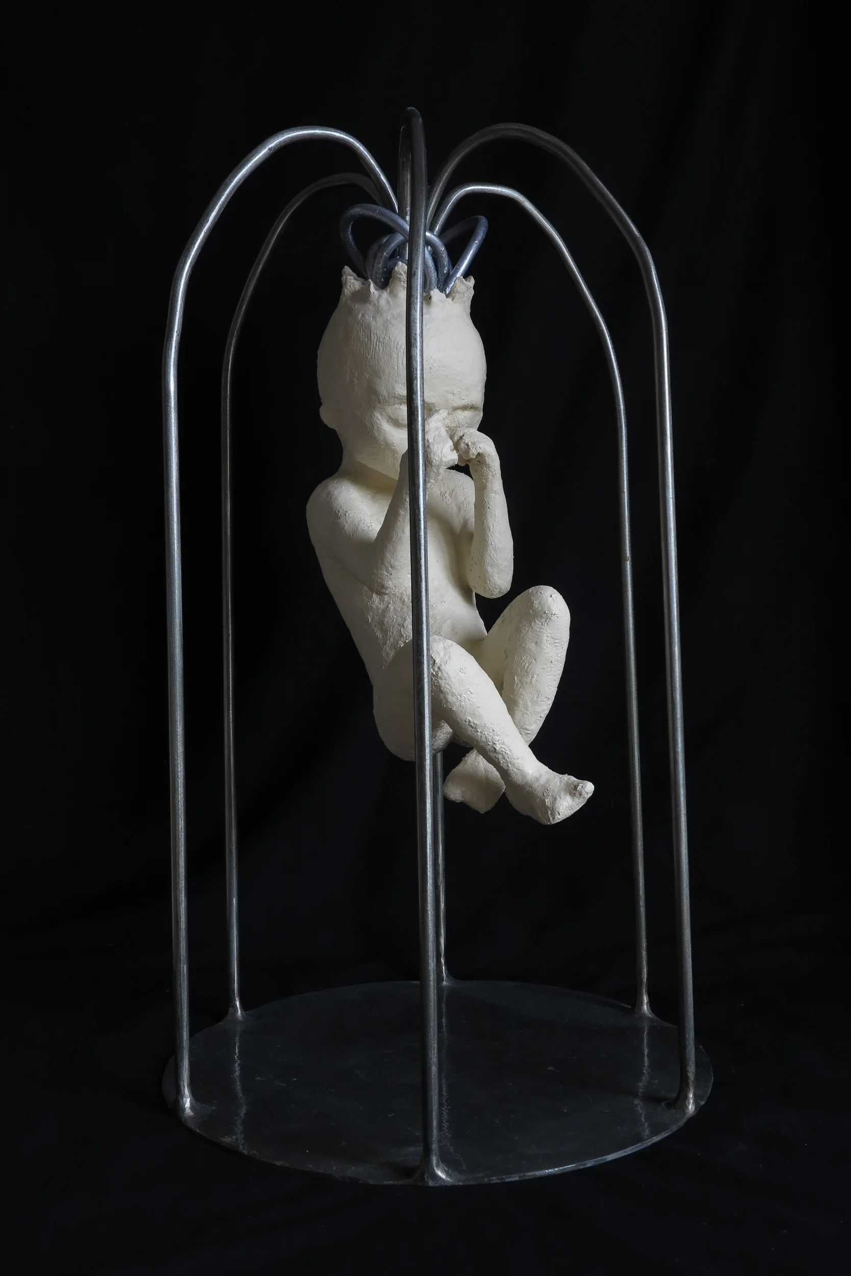 Cage of Thoughts 2015 (2).JPG