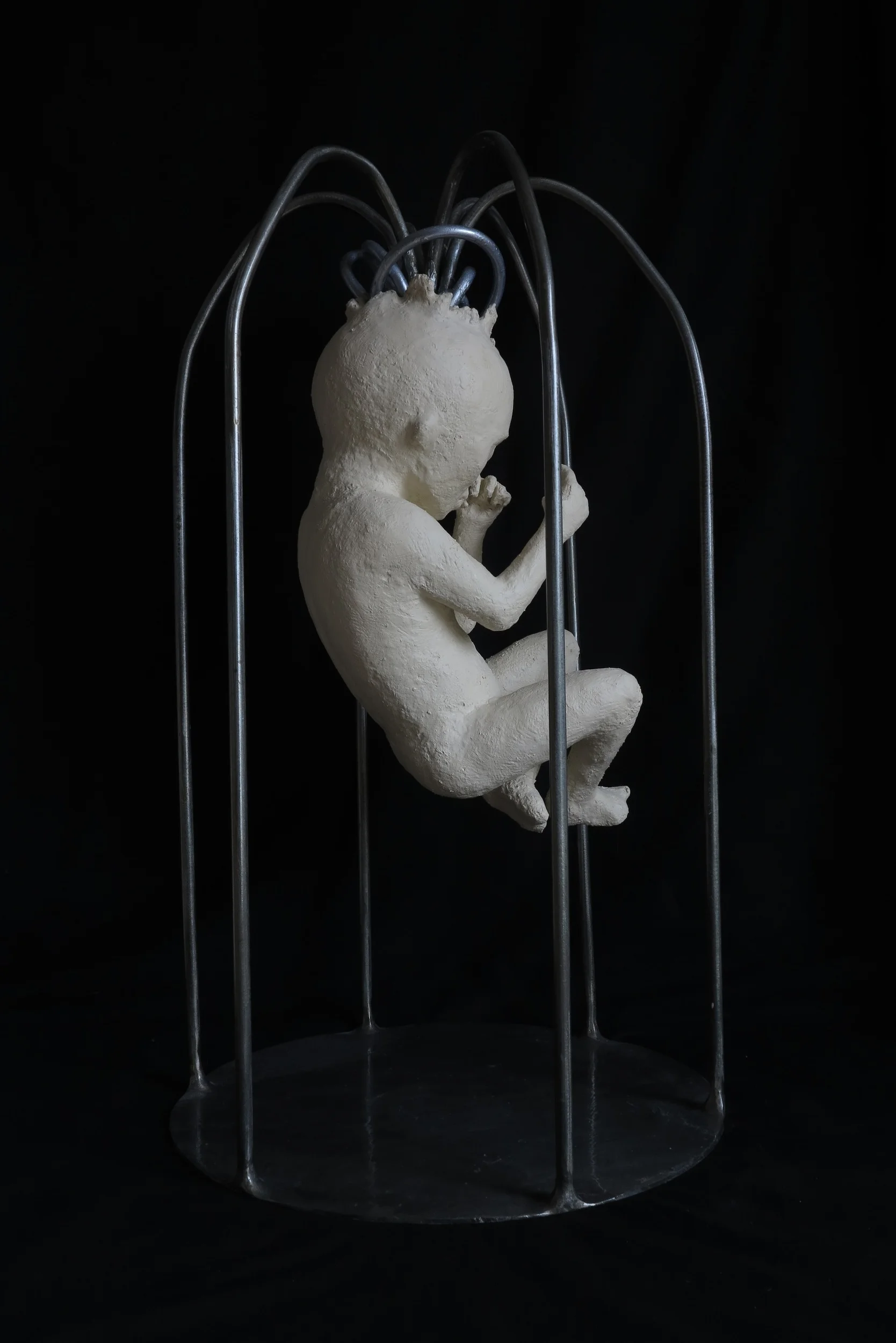 Cage of Thoughts 2015 (5).JPG