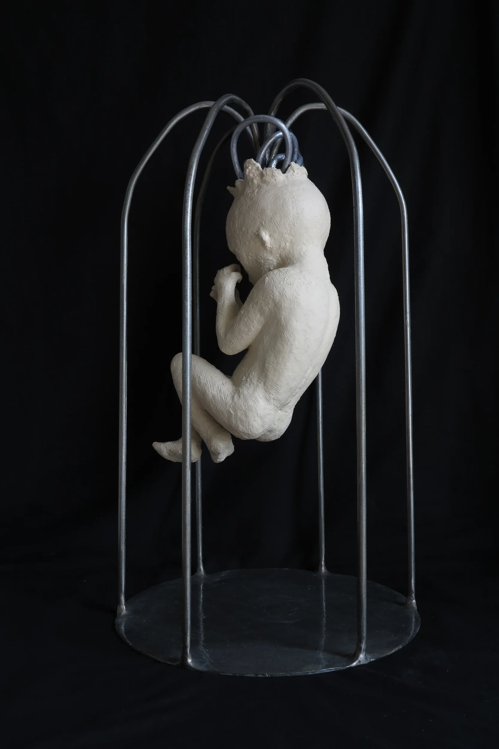 Cage of Thoughts 2015 (8).JPG