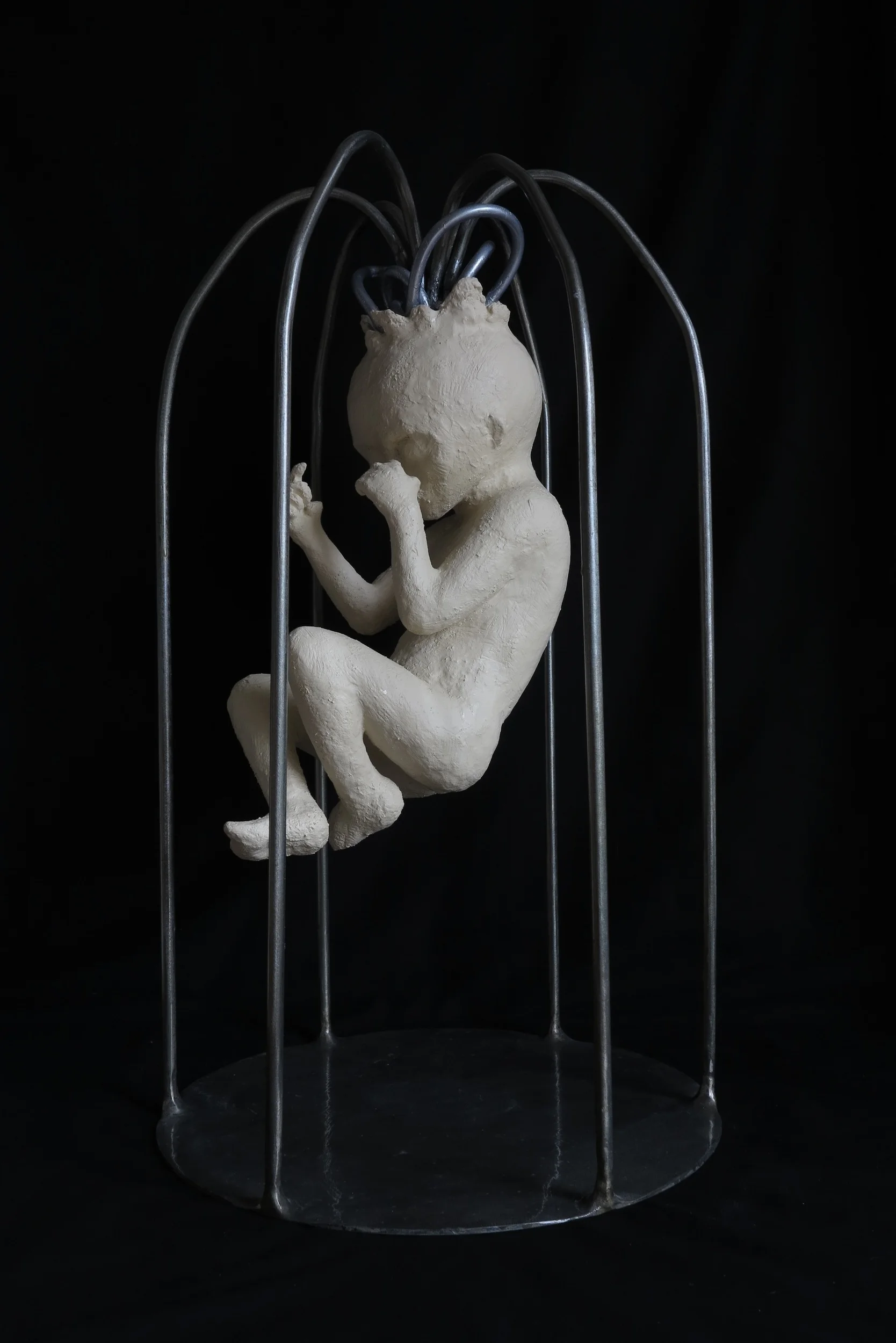 Cage of Thoughts 2015 (9).JPG