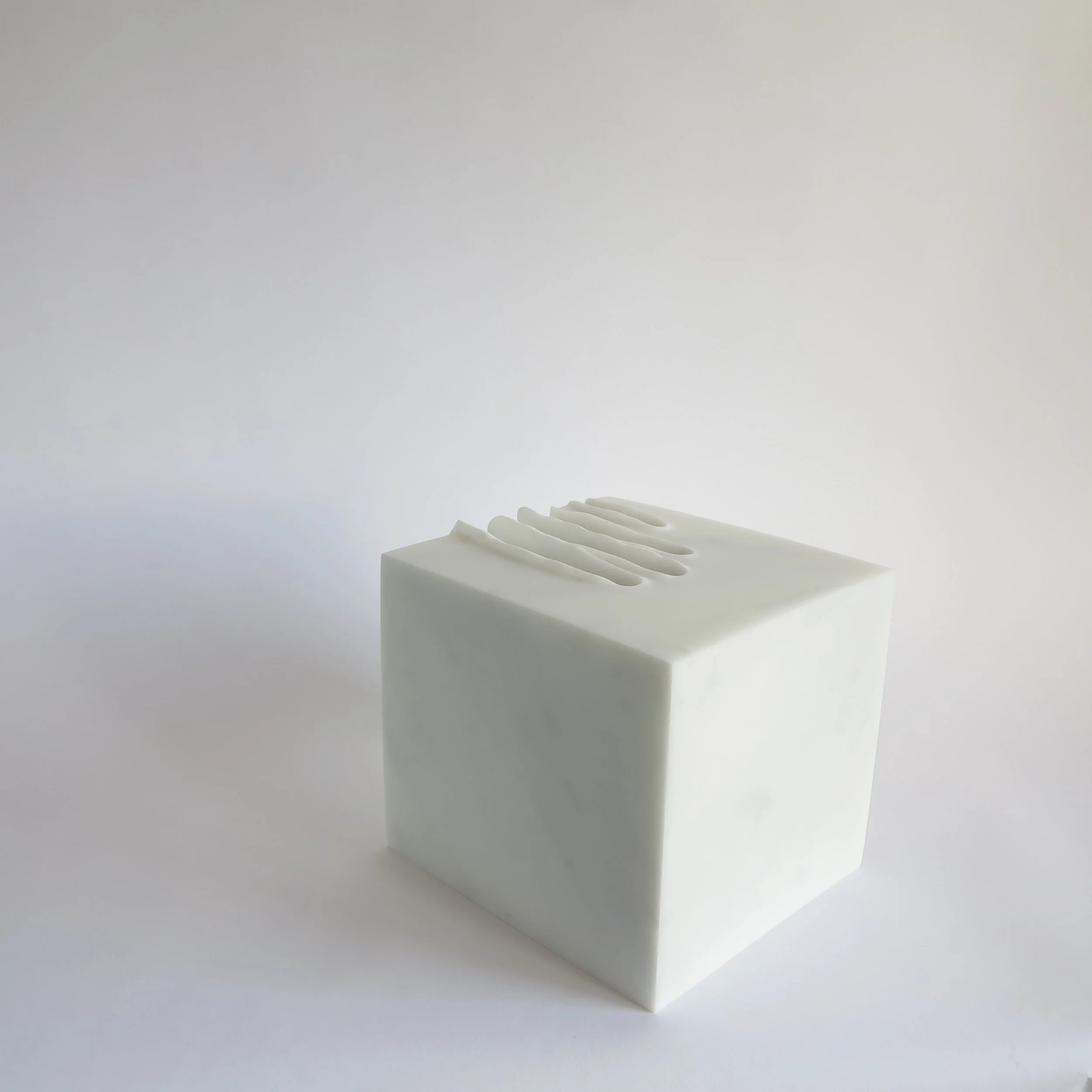 Souvenir d'Auschwitz I 7.JPG