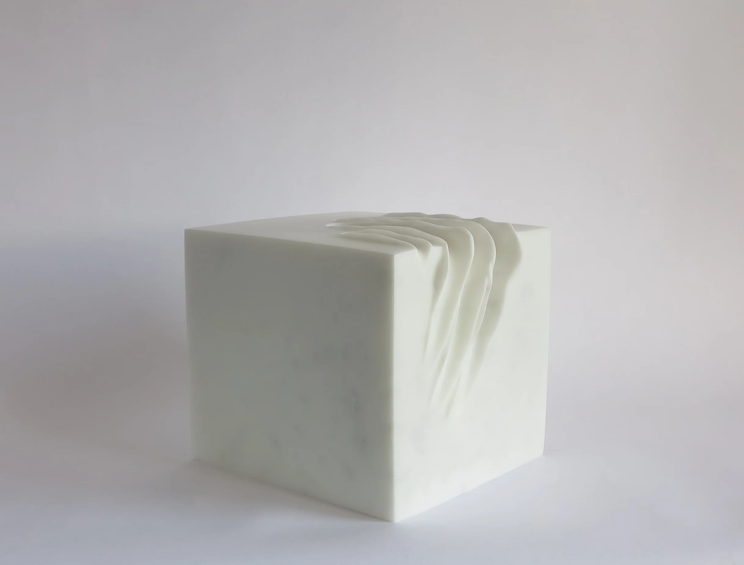 Souvenir d'Auschwitz I 10.JPG