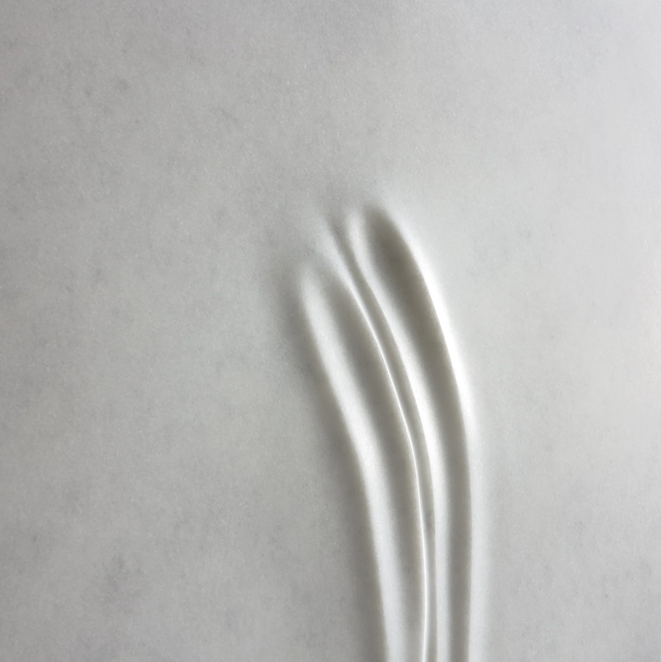 Souvenir d'Auschwitz II 2.JPG