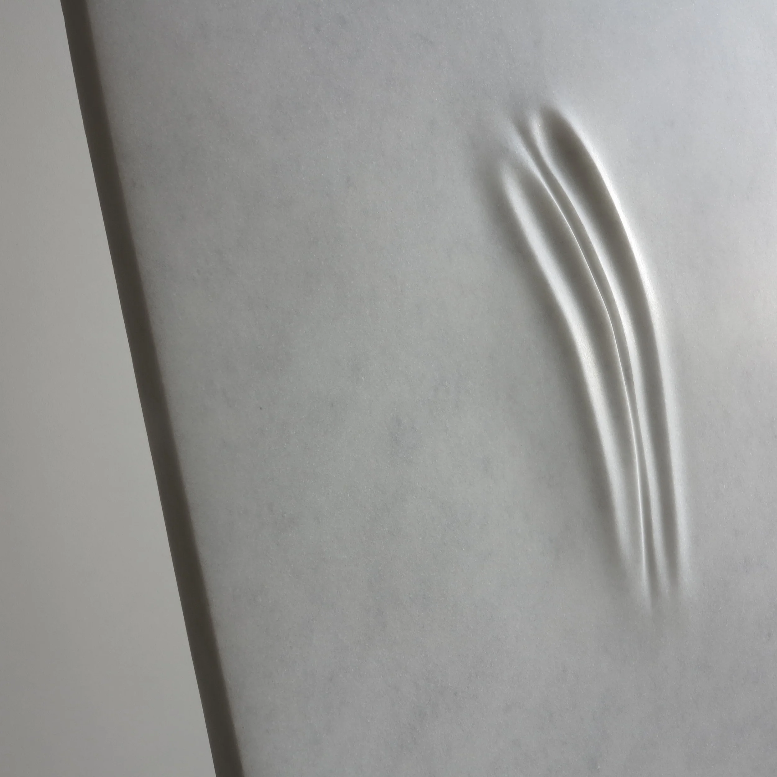 Souvenir d'Auschwitz II 5.JPG