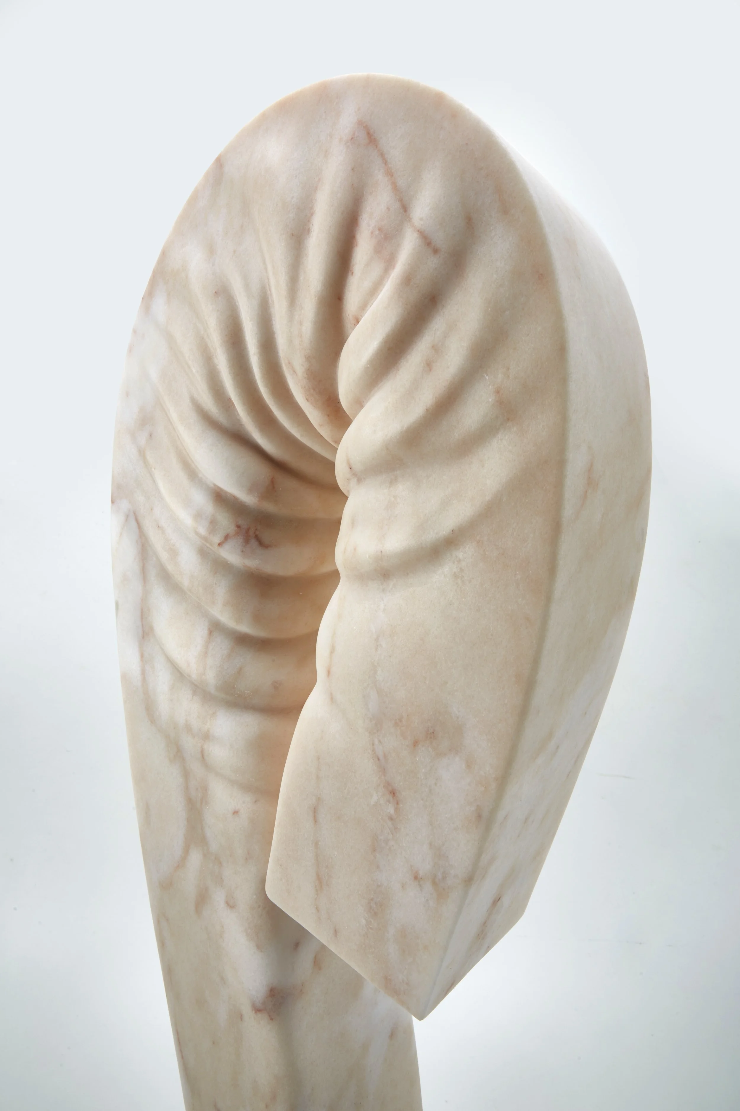 _SX14675.jpg